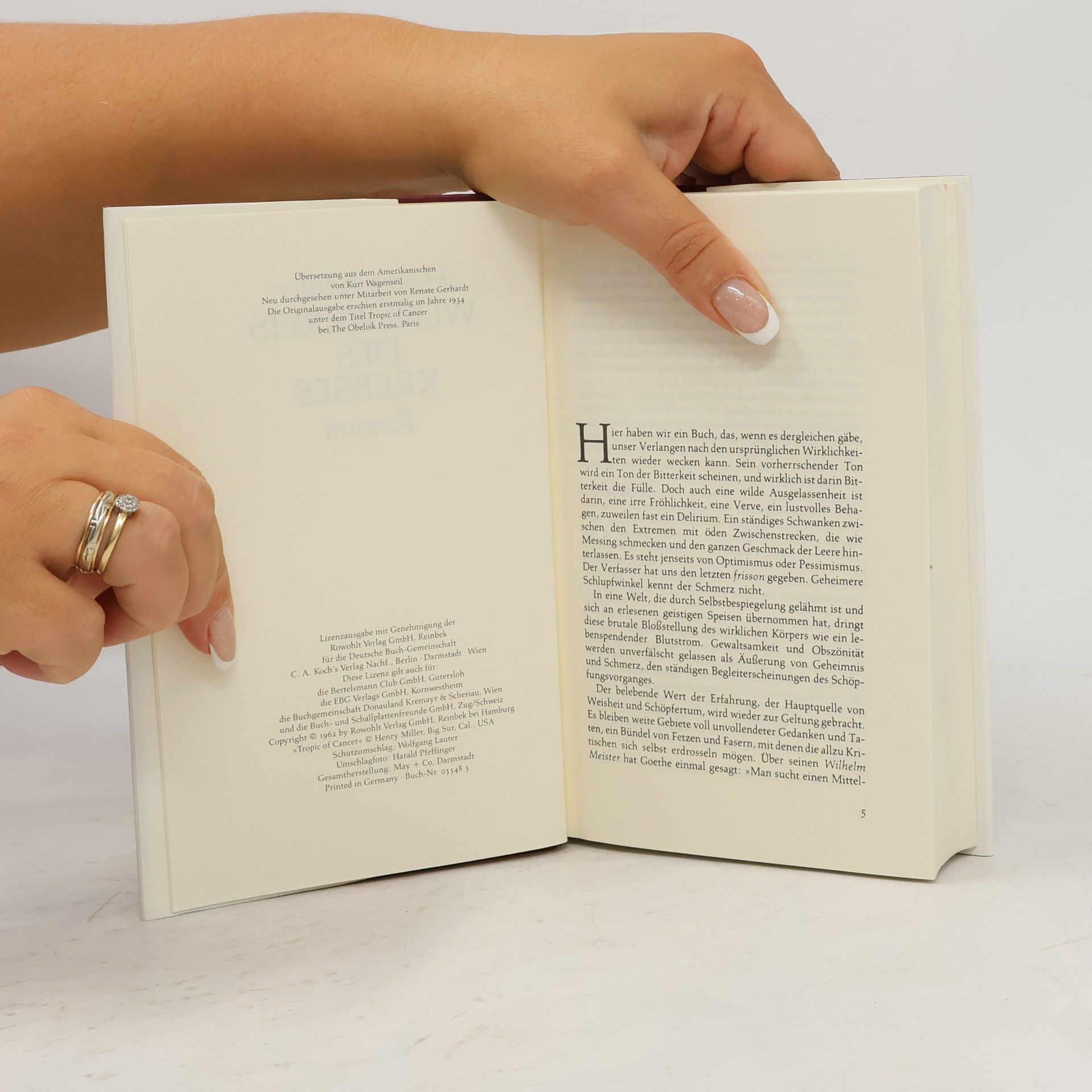 Henry Miller Wendekreis des Krebses