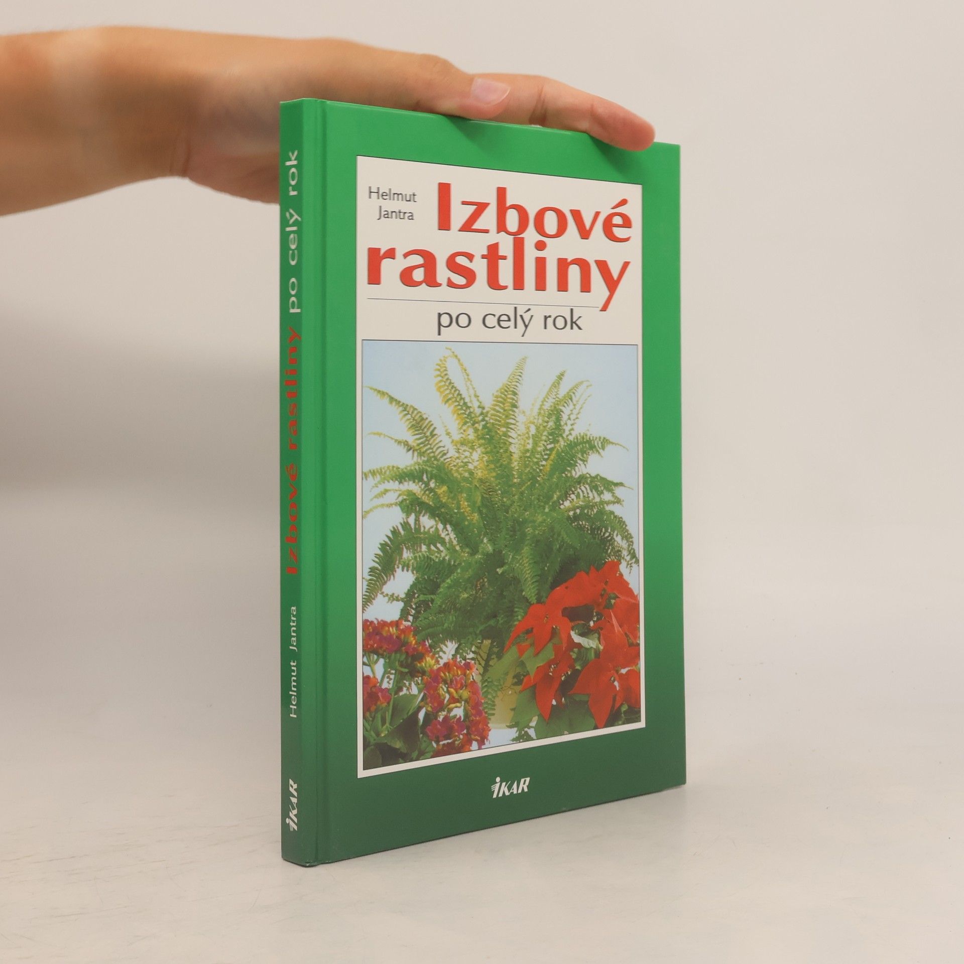 Izbové rastliny po celý rok