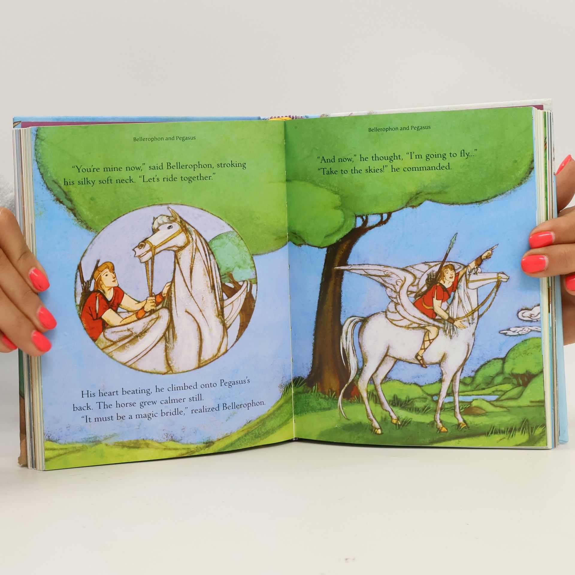 Auteurscollectief Illustrated Stories From the Greek Myths
