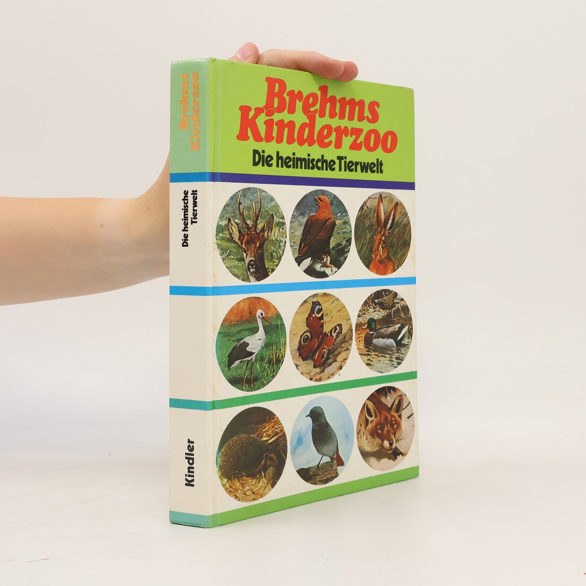 Brehms Kinderzoo