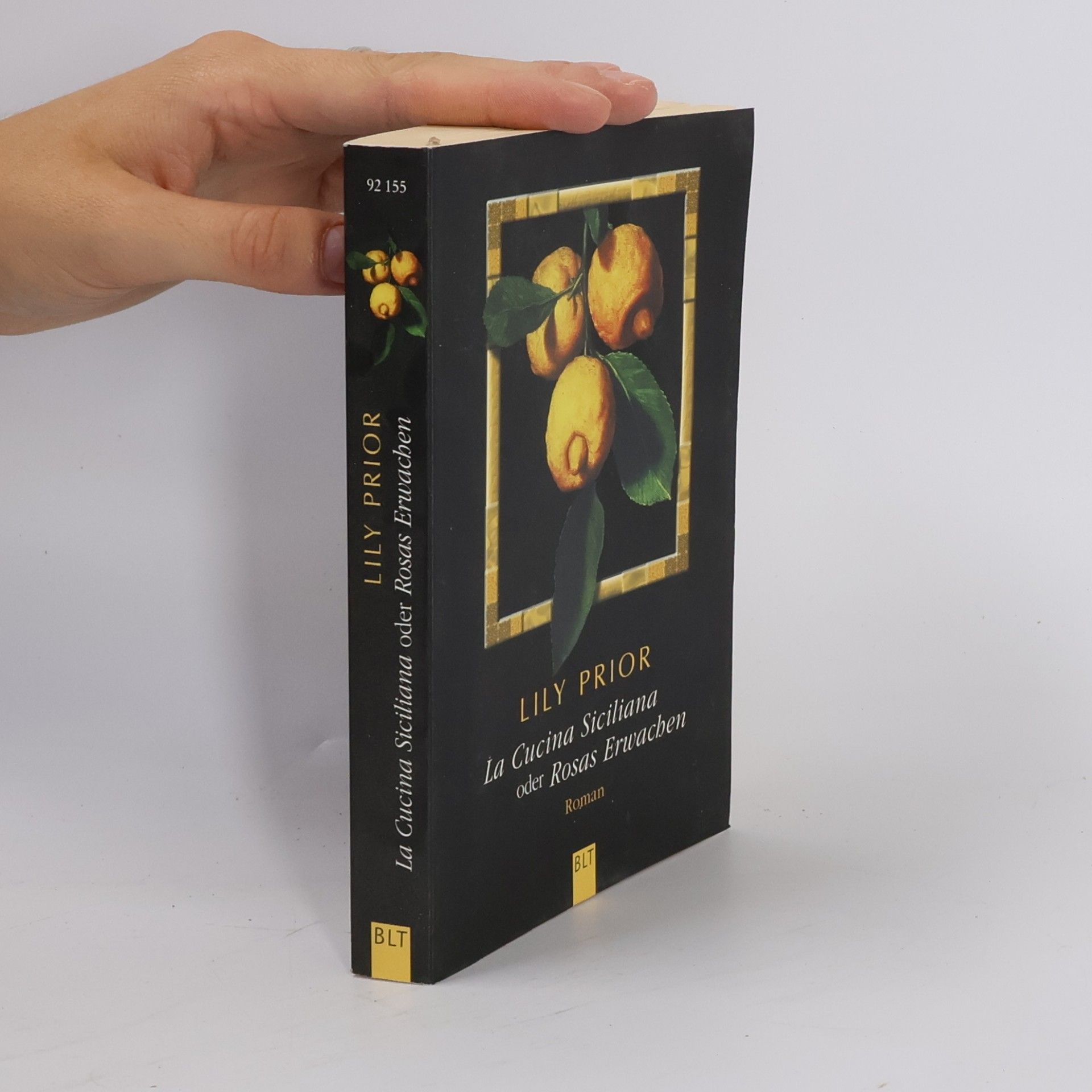 Lily Prior La Cucina Siciliana oder Rosas Erwachen