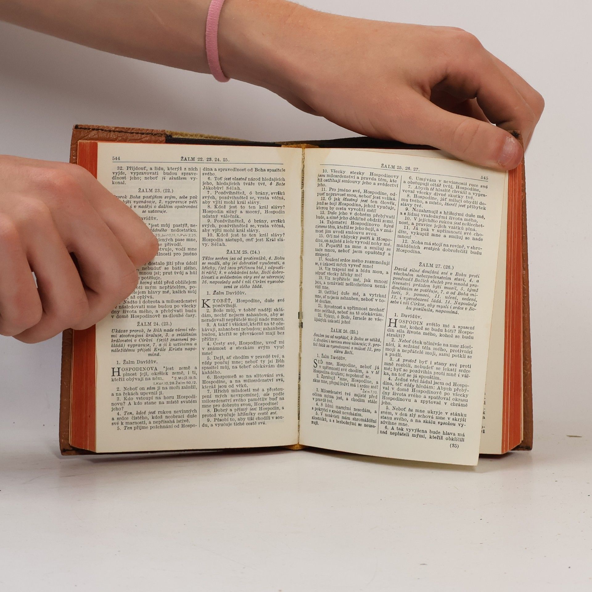 Kolektiv autorů Biblí svatá. Podle původního kralického vydání z let 1579-1593