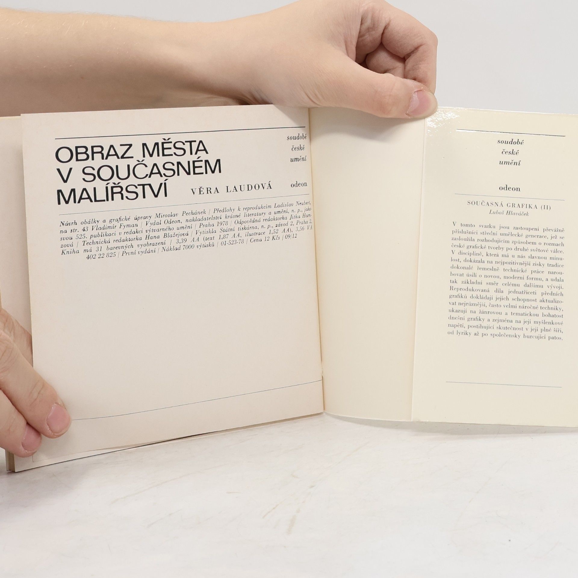 Věra Laudová Obraz města v současném malířství