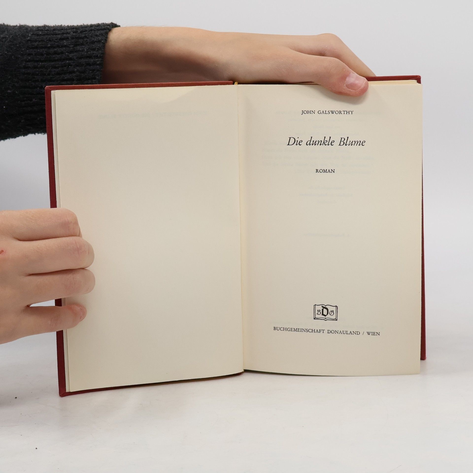 John Galsworthy Die dunkle Blume