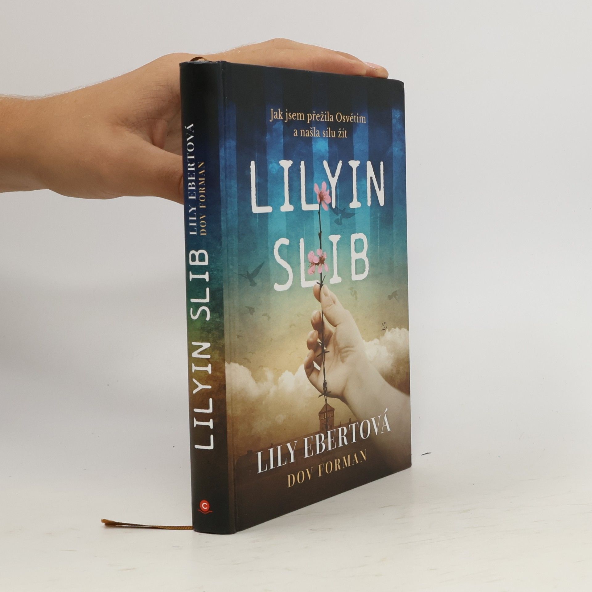 Lily Ebert Lilyin slib