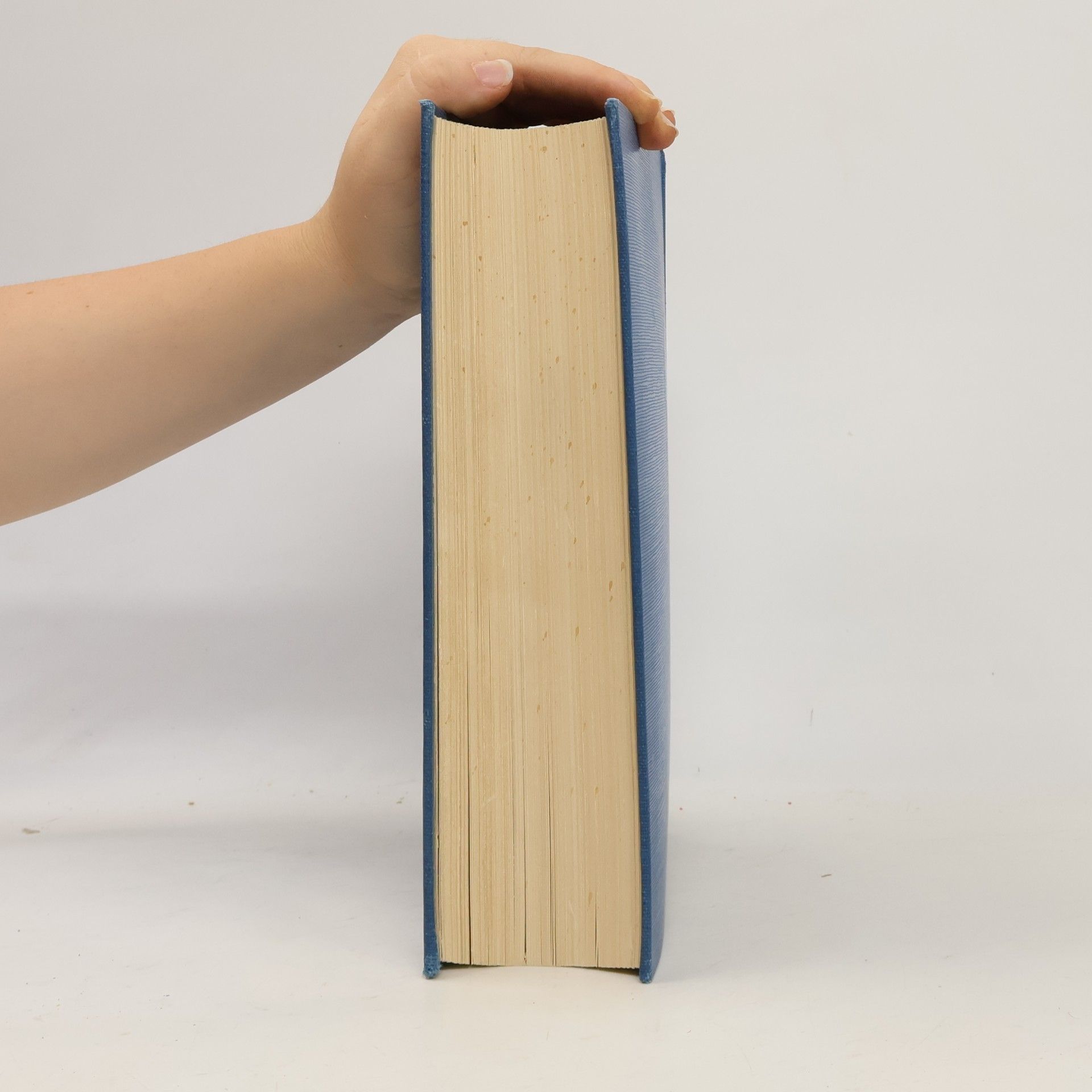 Autorenkollektiv Die großen Deutschen. Neue Deutsche Biographie