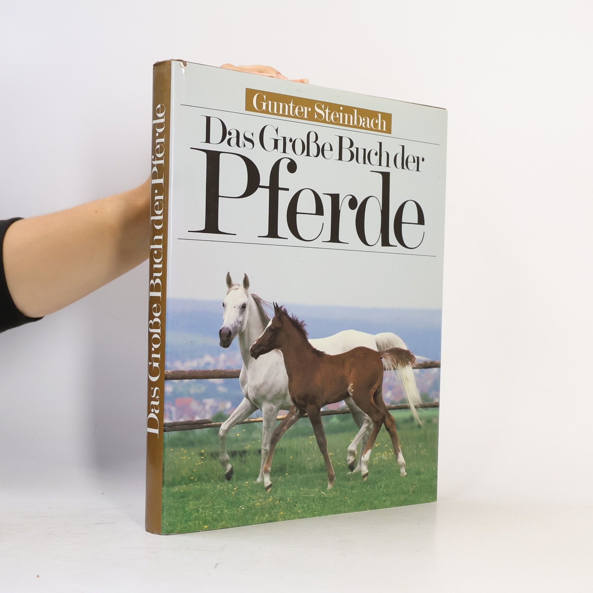 Gunter Steinbach Das Große Buch der Pferde