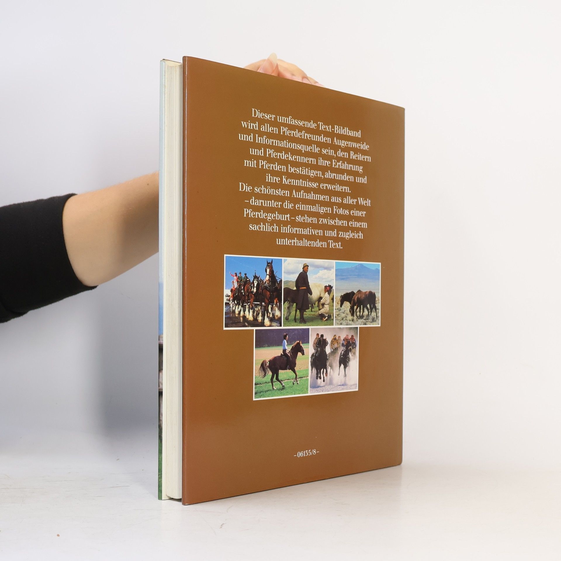 Gunter Steinbach Das Große Buch der Pferde