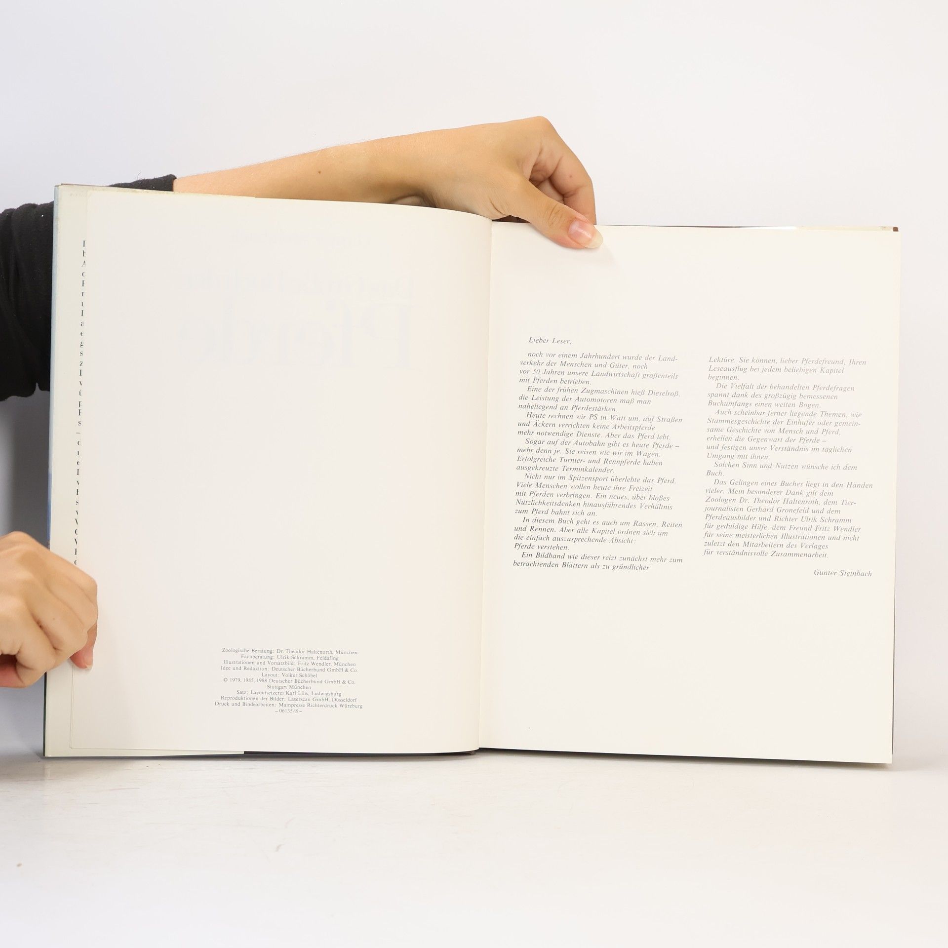 Gunter Steinbach Das Große Buch der Pferde