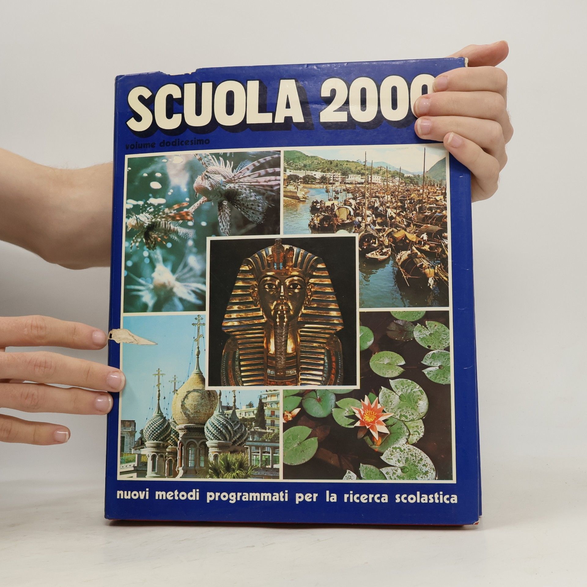 Autores varios Scuola 2000 12