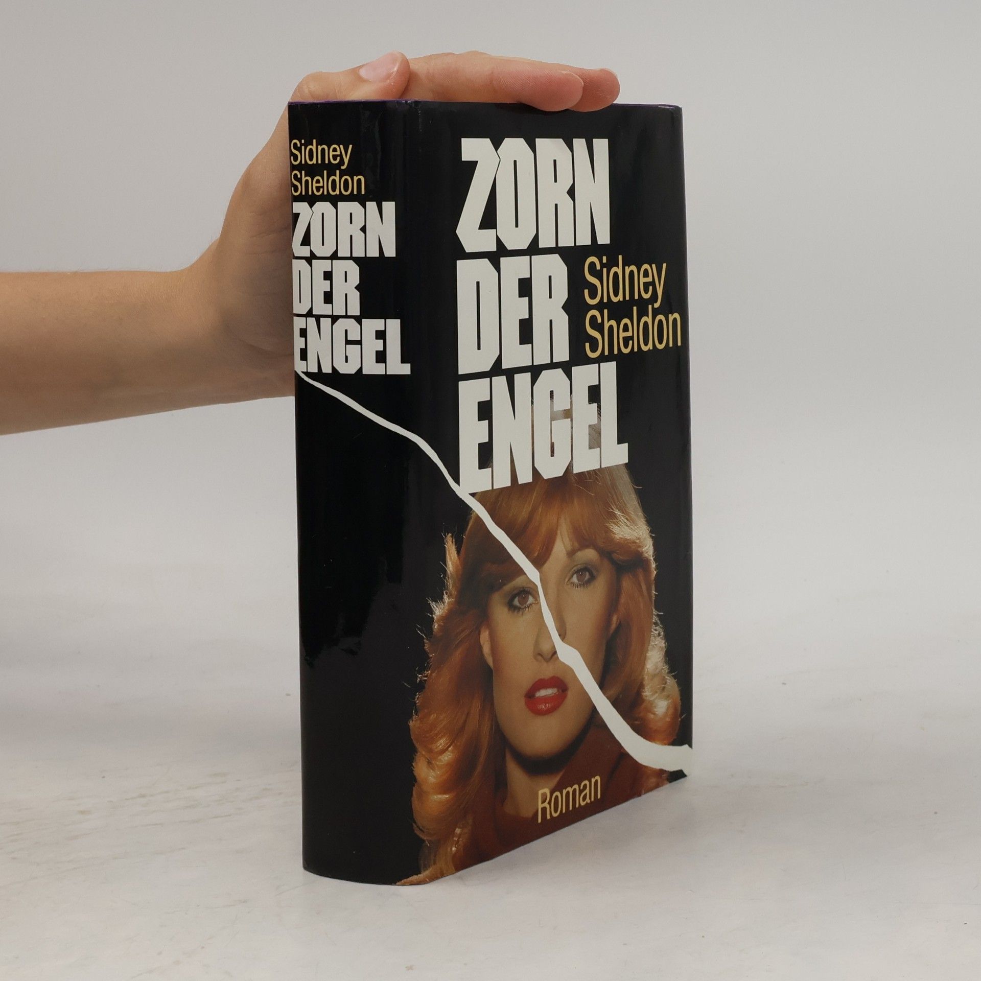 Sidney Sheldon Zorn der Engel