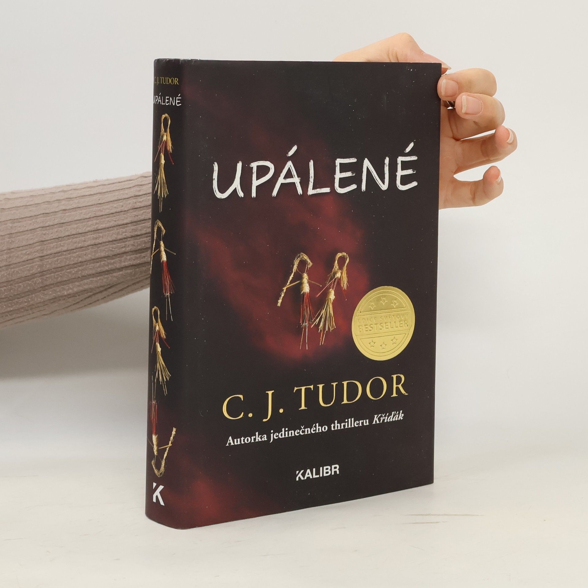 C. J. Tudor Upálené