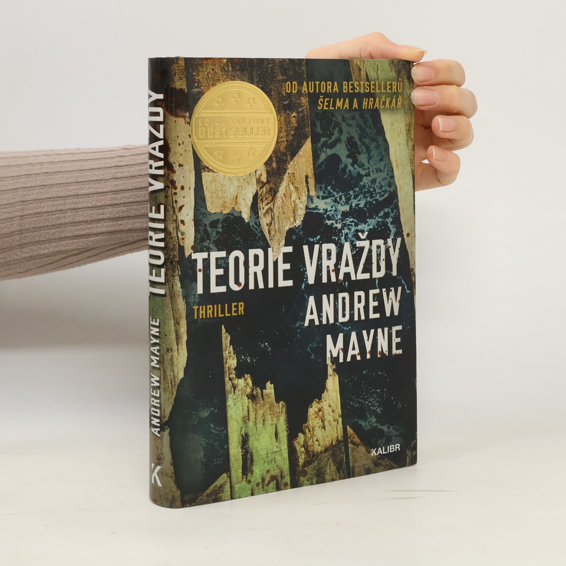 Andrew Mayne Teorie vraždy