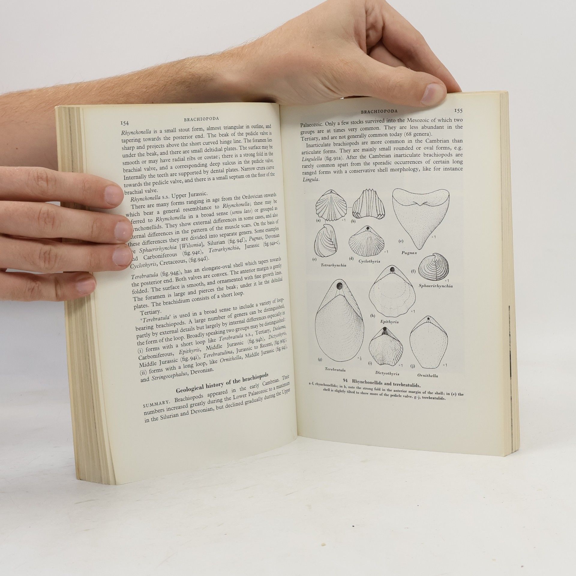 Rhona M. Black The Elements of Palaeontology