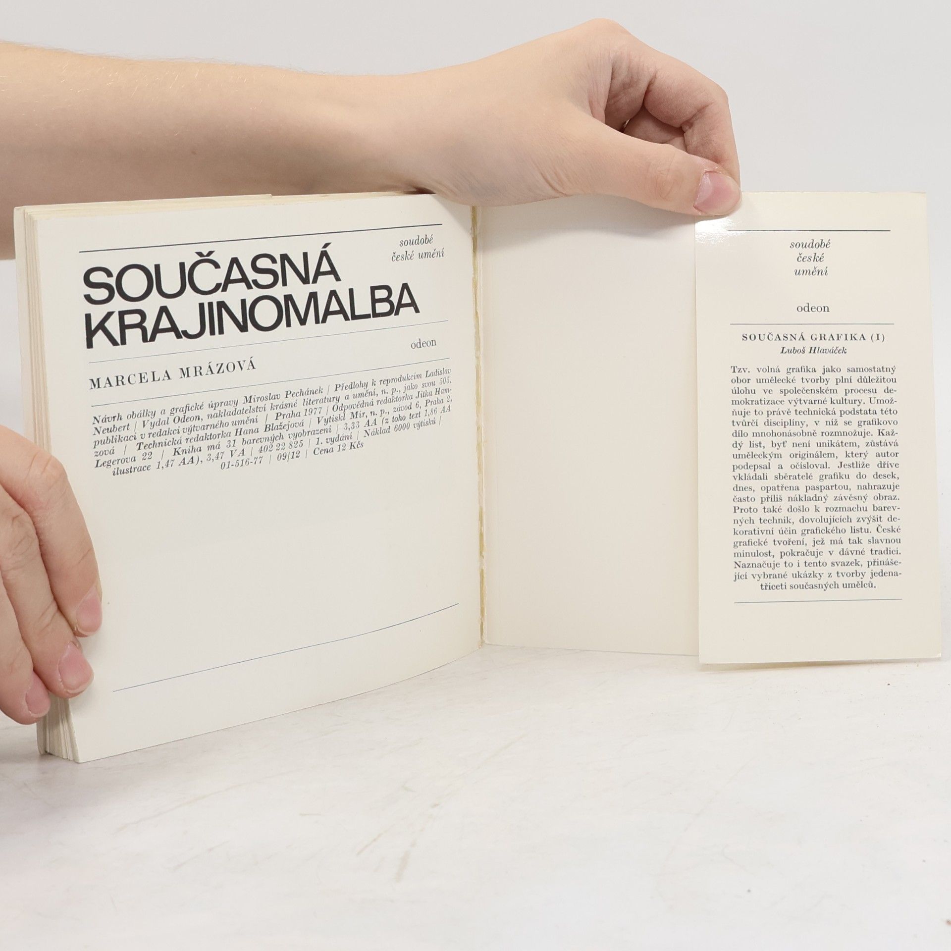 Marcela Mrázová Současná krajinomalba