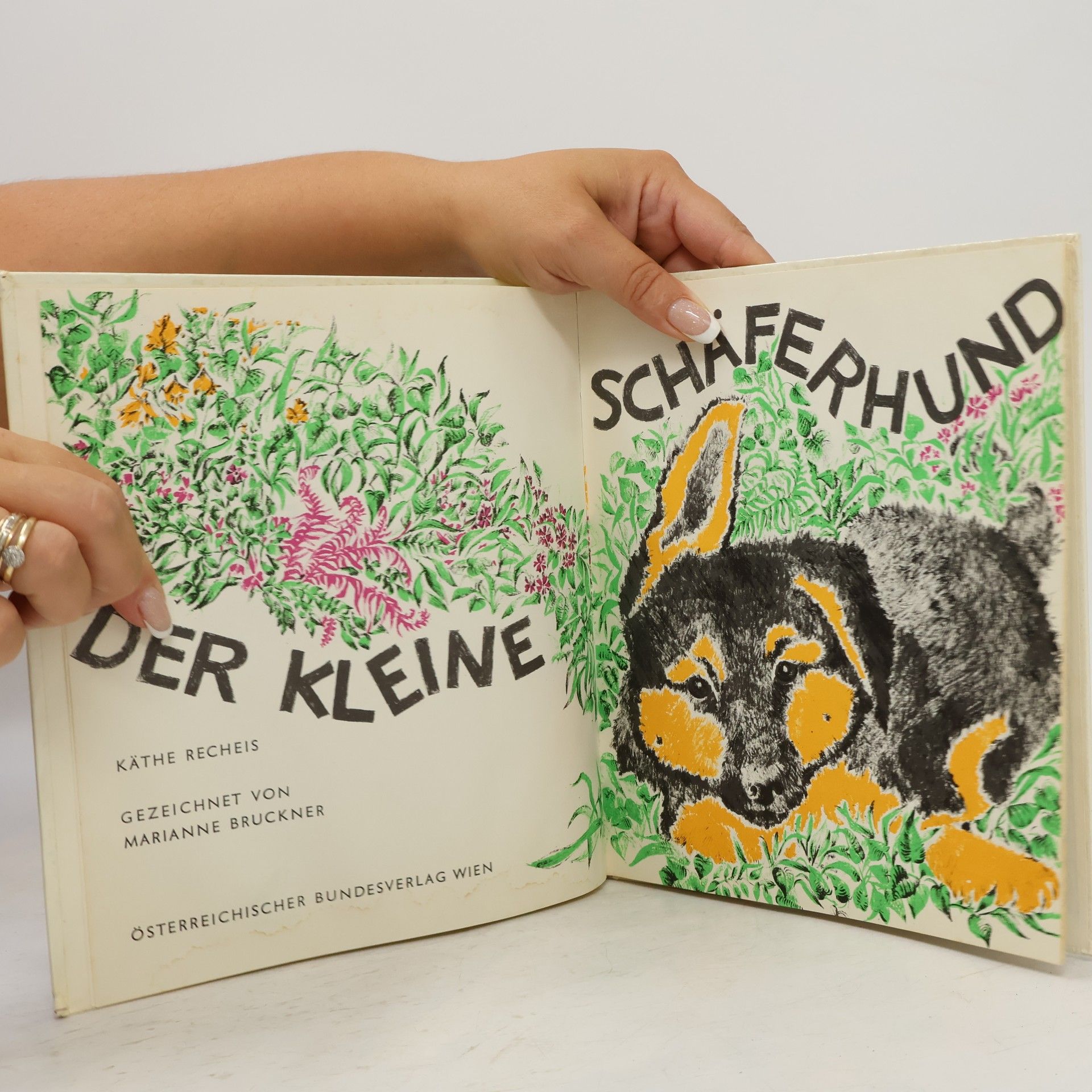Käthe Recheis Der kleine Schäferhund