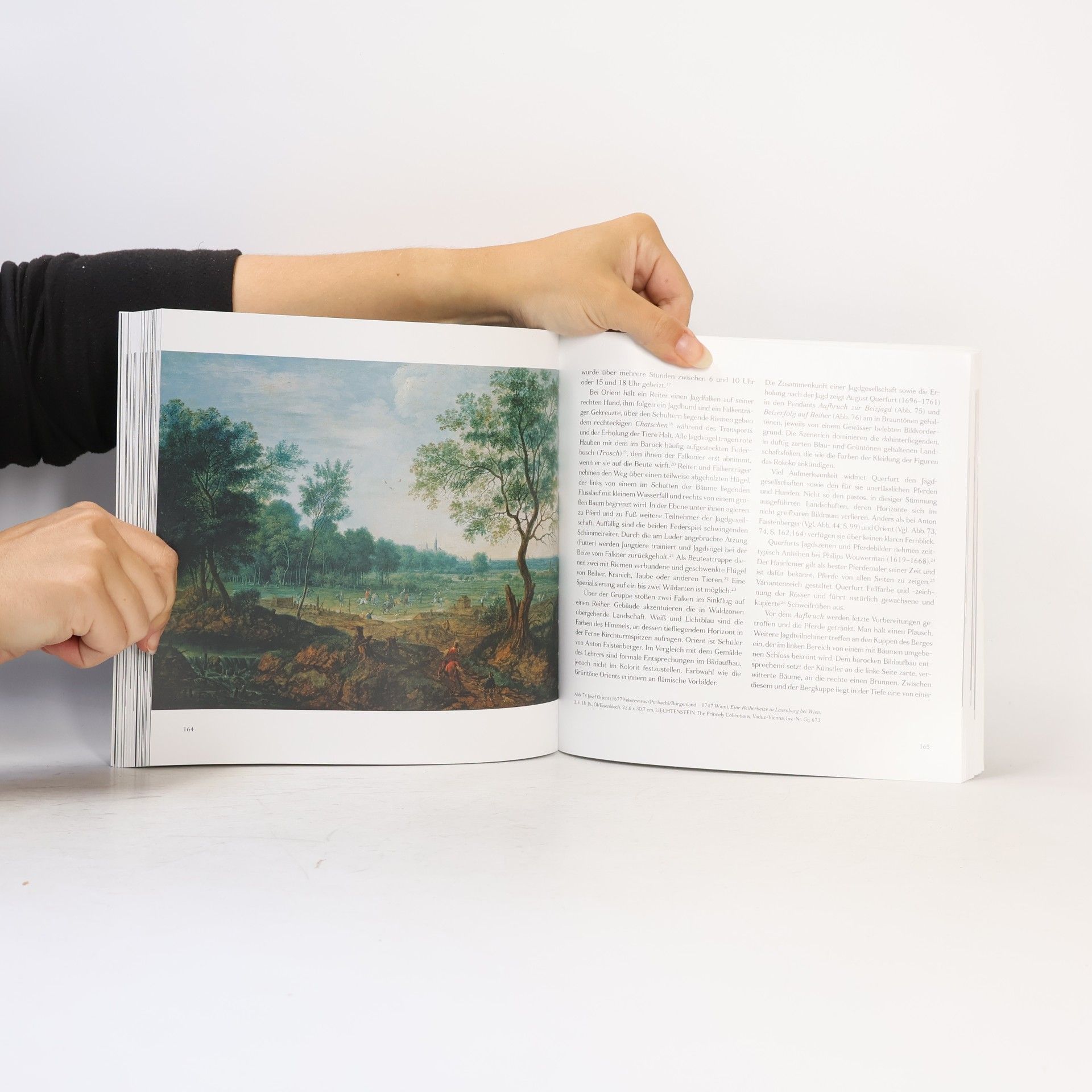 Thomas Habersatter Natur wird Bild