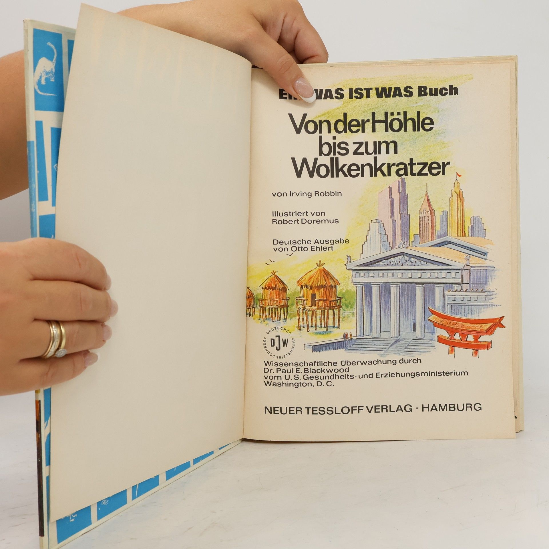 Irving Robbin Von der Höhle bis zum Wolkenkratzer