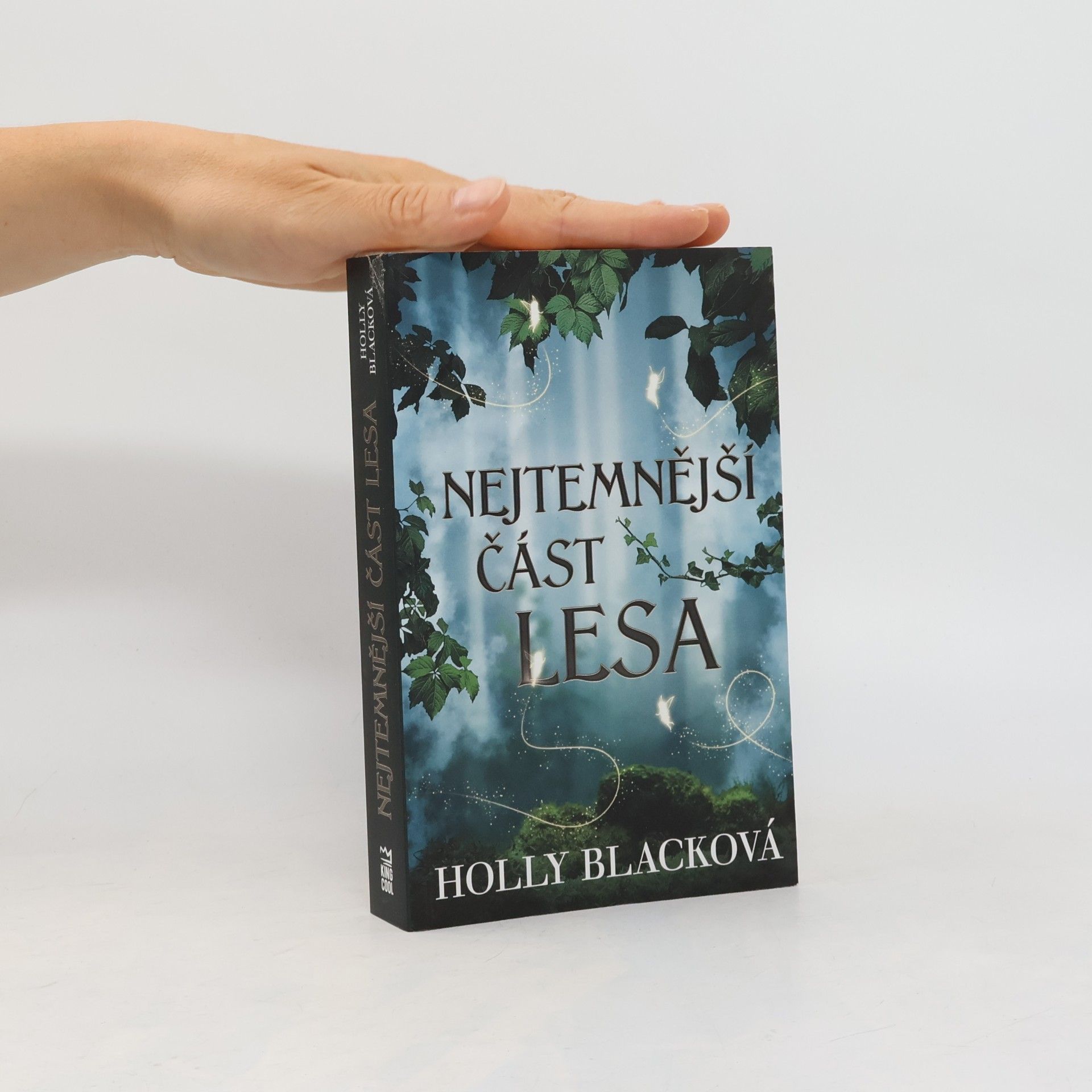 Holly Black Nejtemnější část lesa