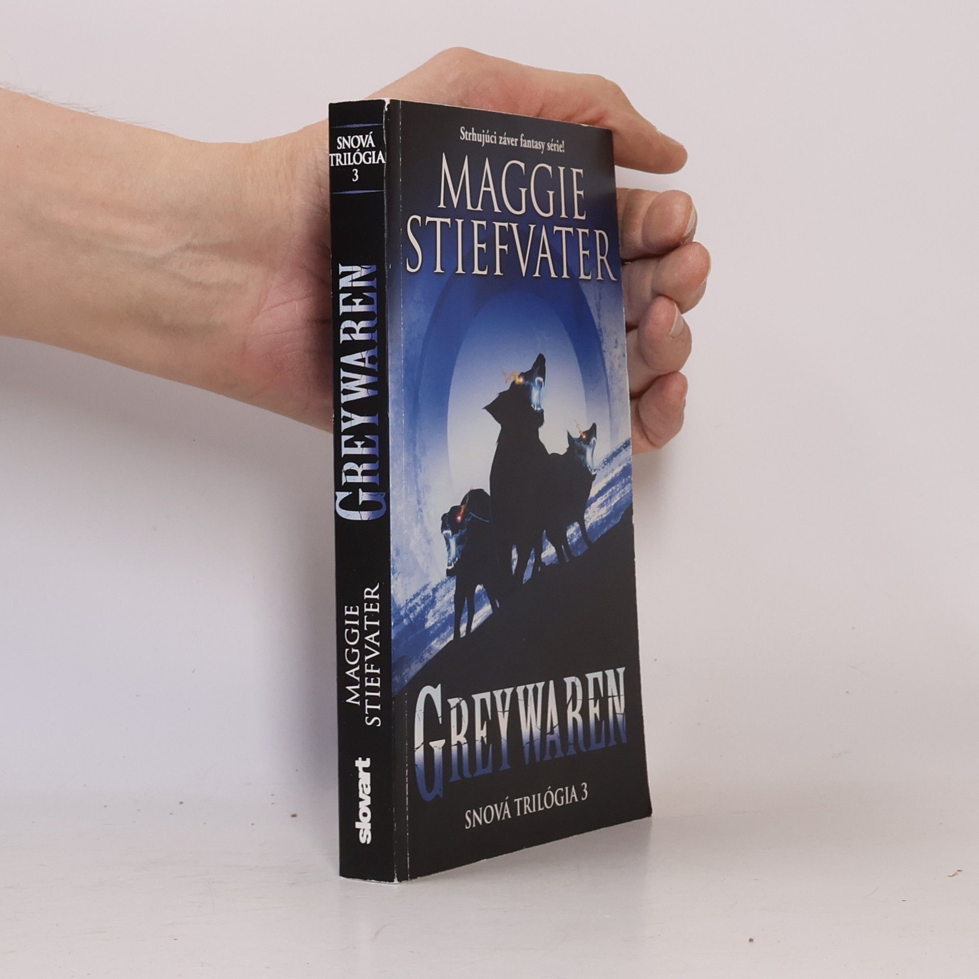 Maggie Stiefvater Greywaren. Snová trilógia 3