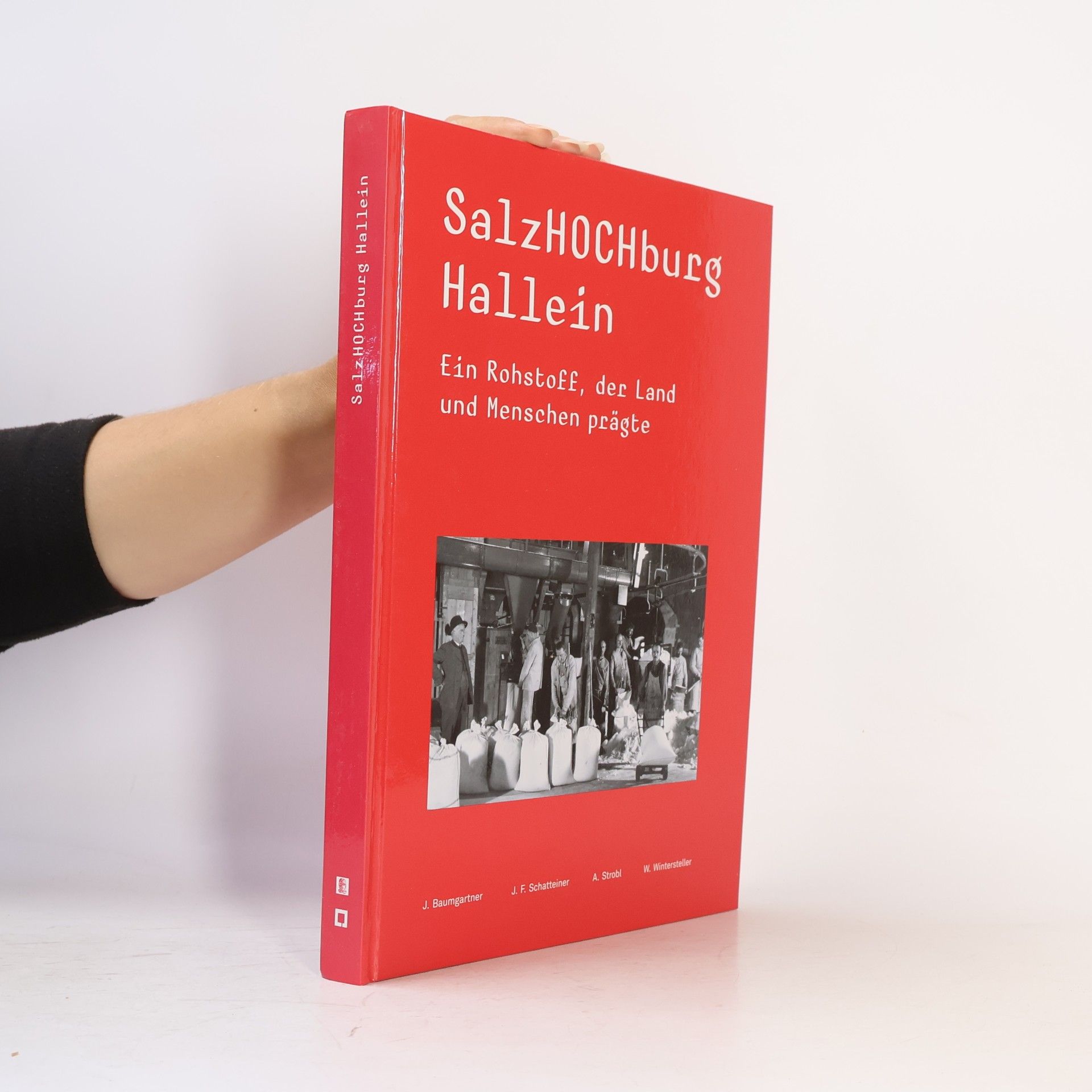 SalzHOCHburg Hallein