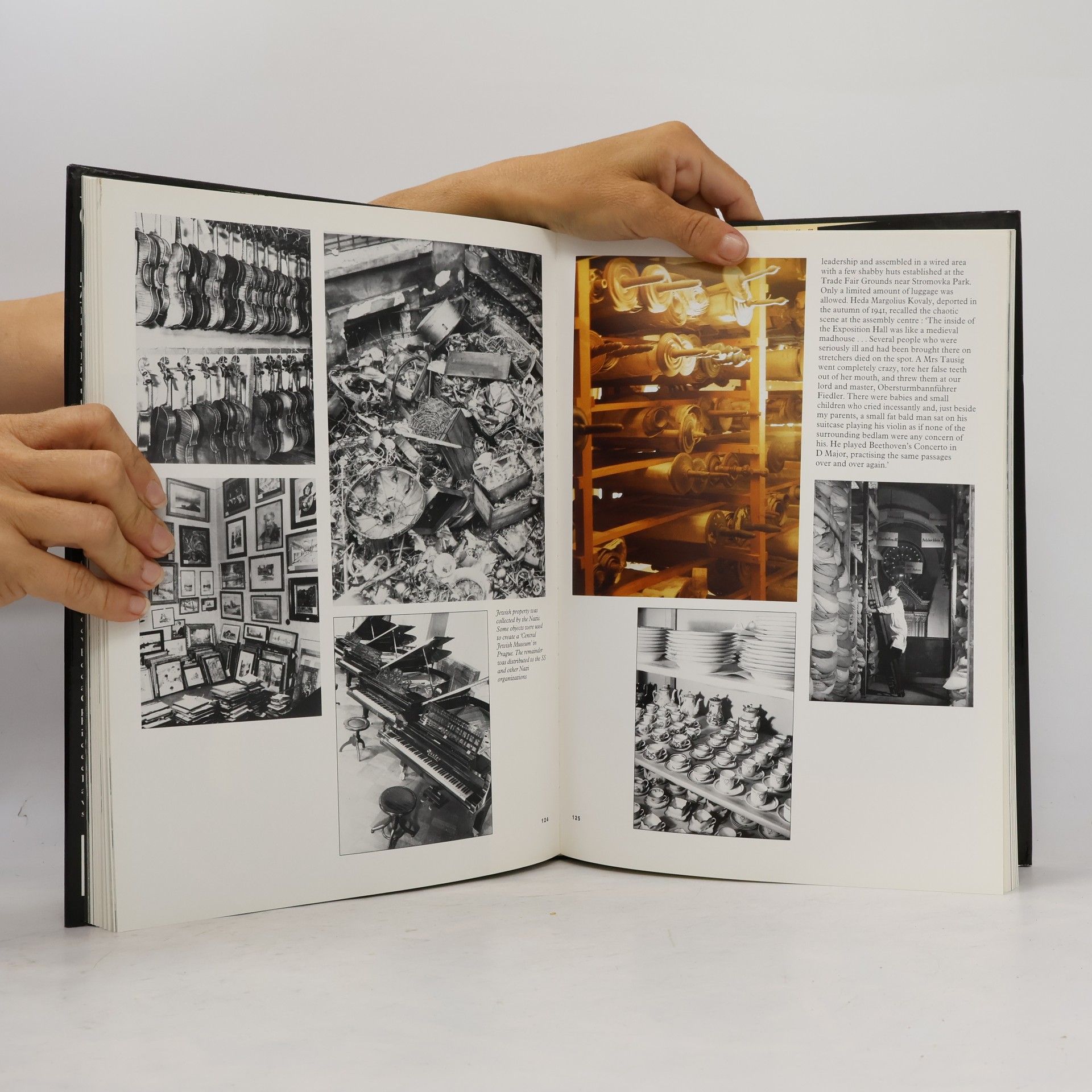 C. A. MacDonald Prague in the shadow of the swastika : a history of the German occupation 1939-1945