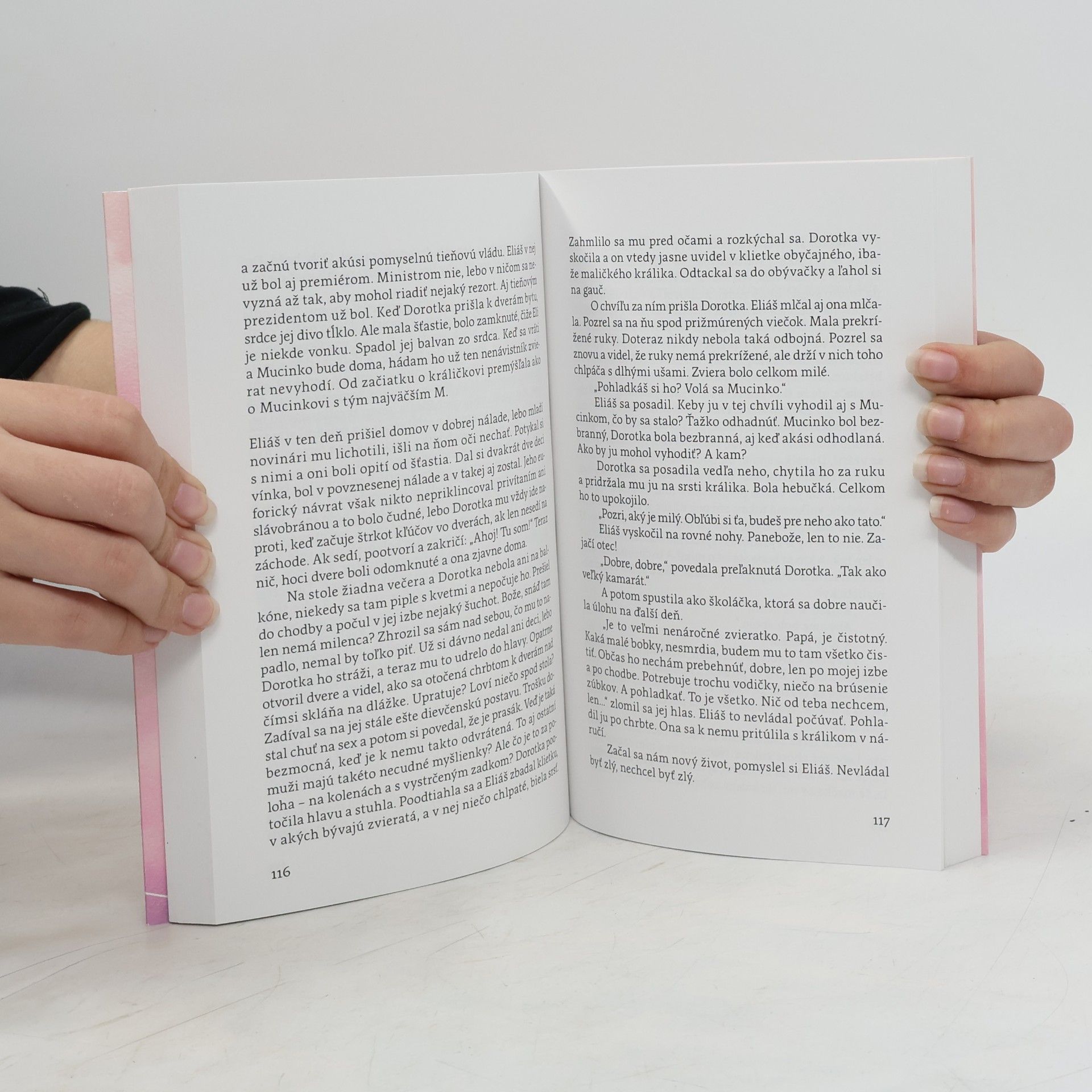 Jana Juráňová Naničhodnica