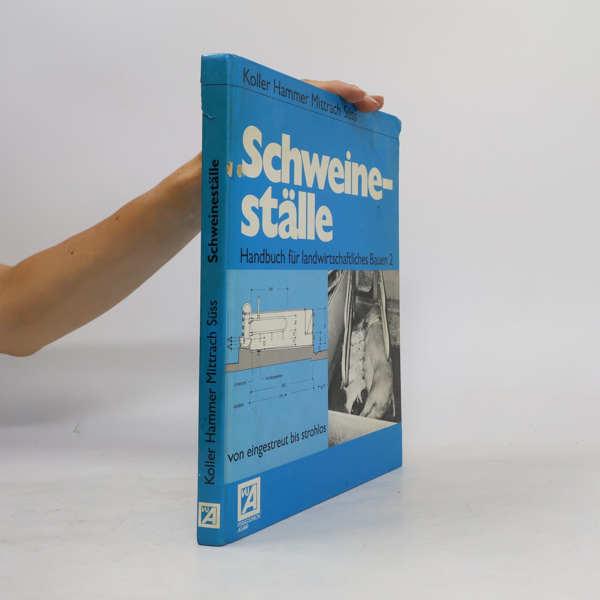 Hammer Schweineställe 2