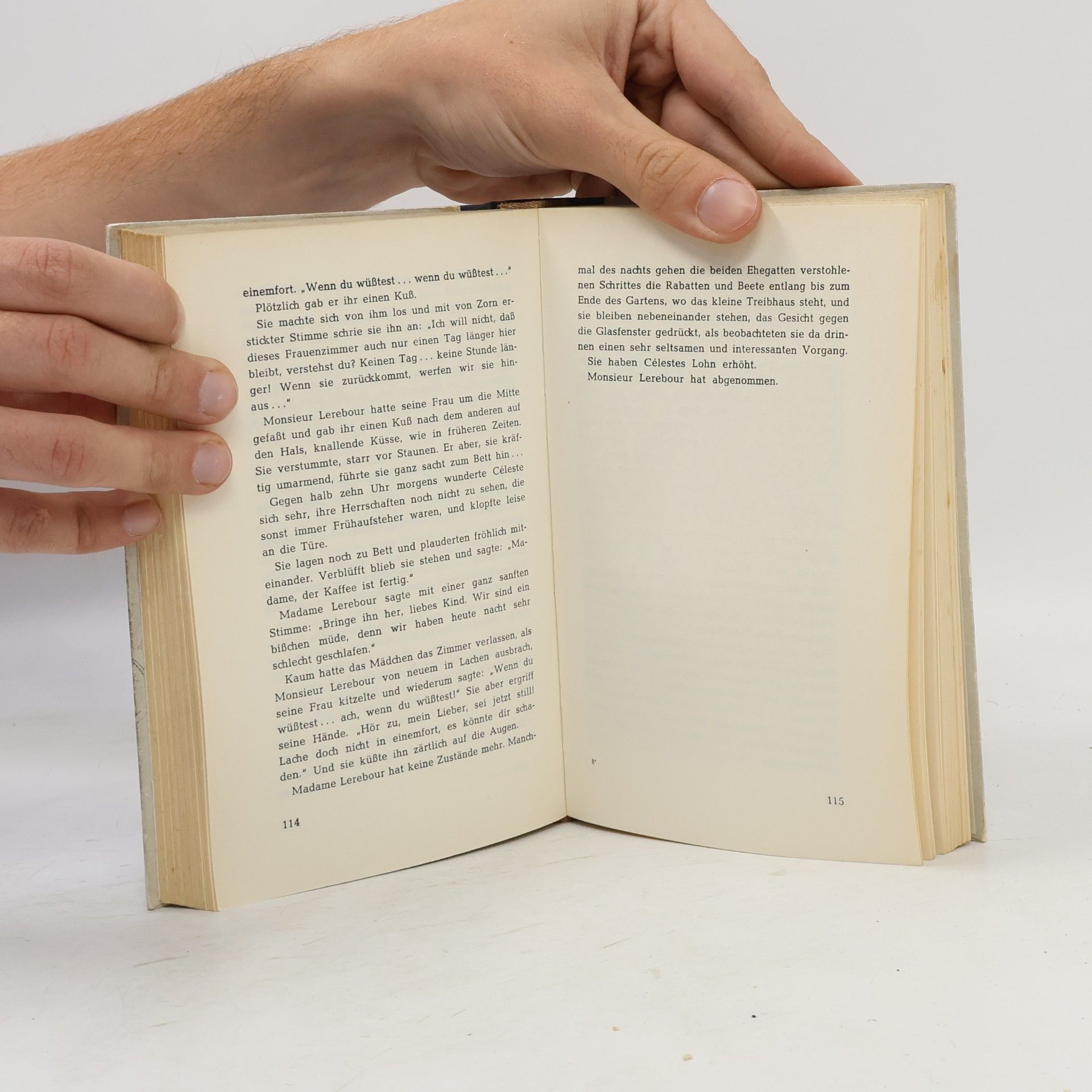 Guy de Maupassant Liebe ist anders