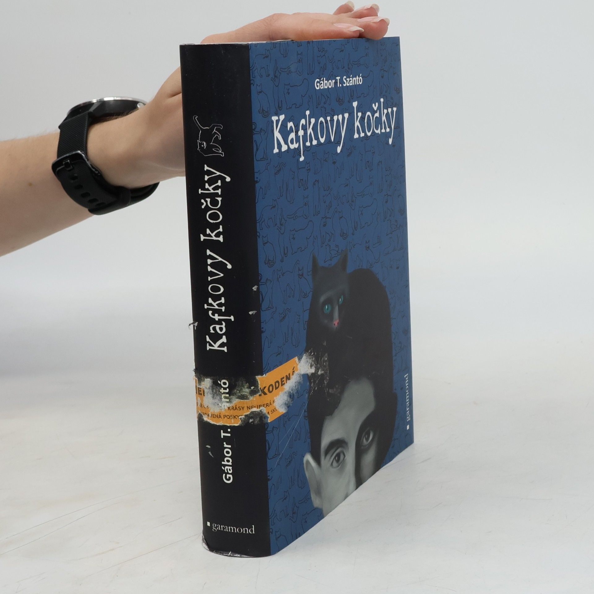 T. Gábor Szántó Kafkovy kočky