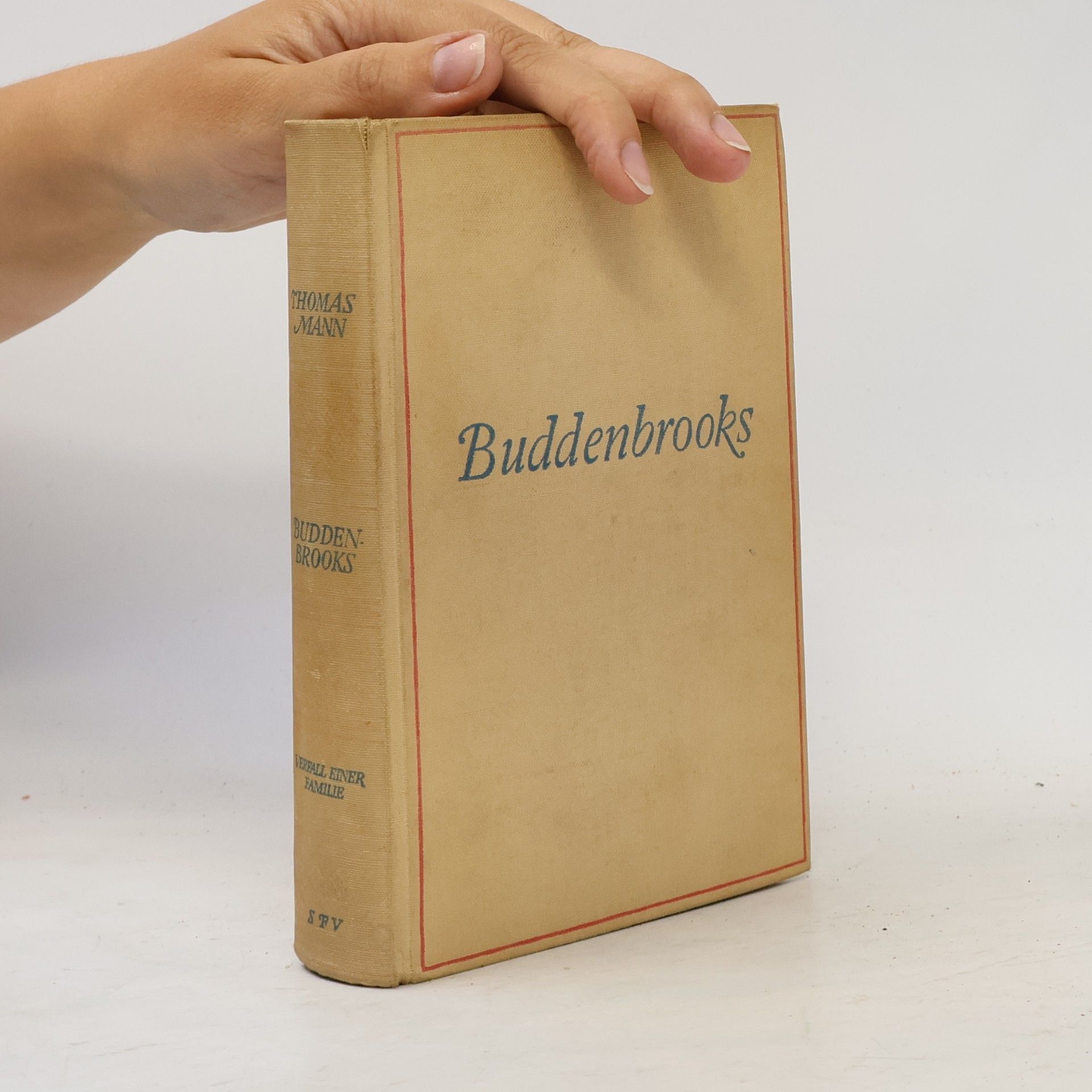 Thomas Mann Buddenbrooks