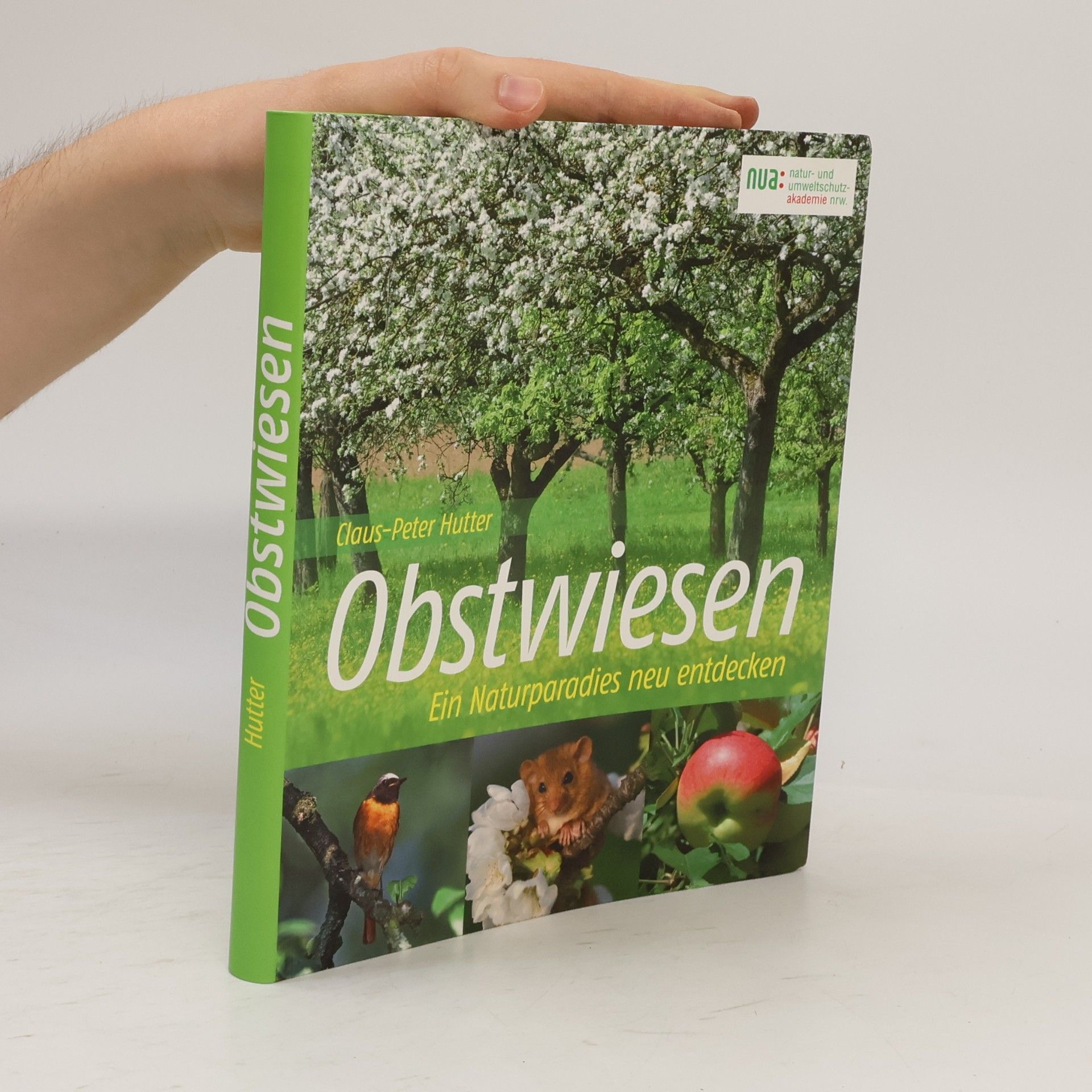 Obstwiesen