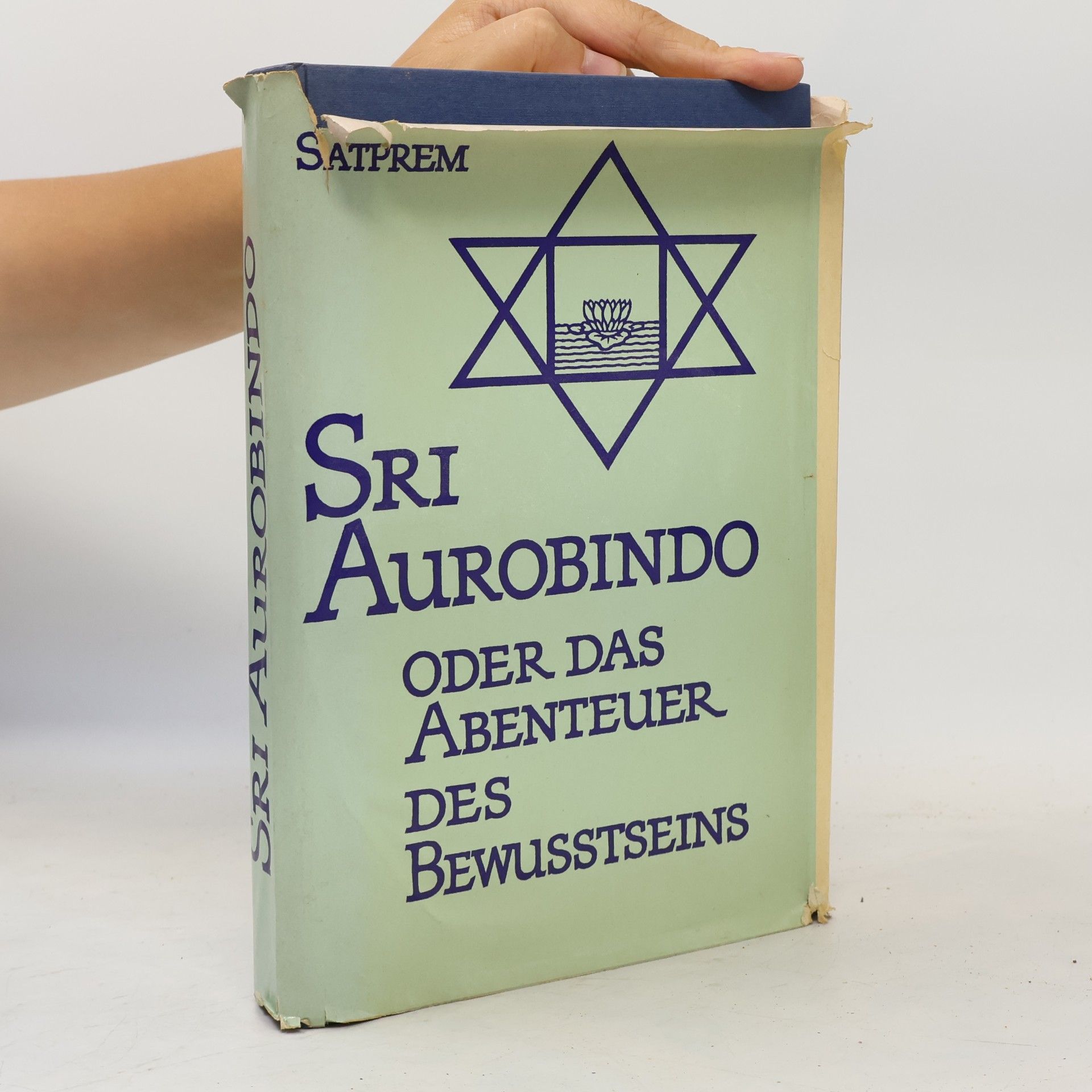 Satprem Sri Aurobindo oder Das Abenteuer des Bewusstseins