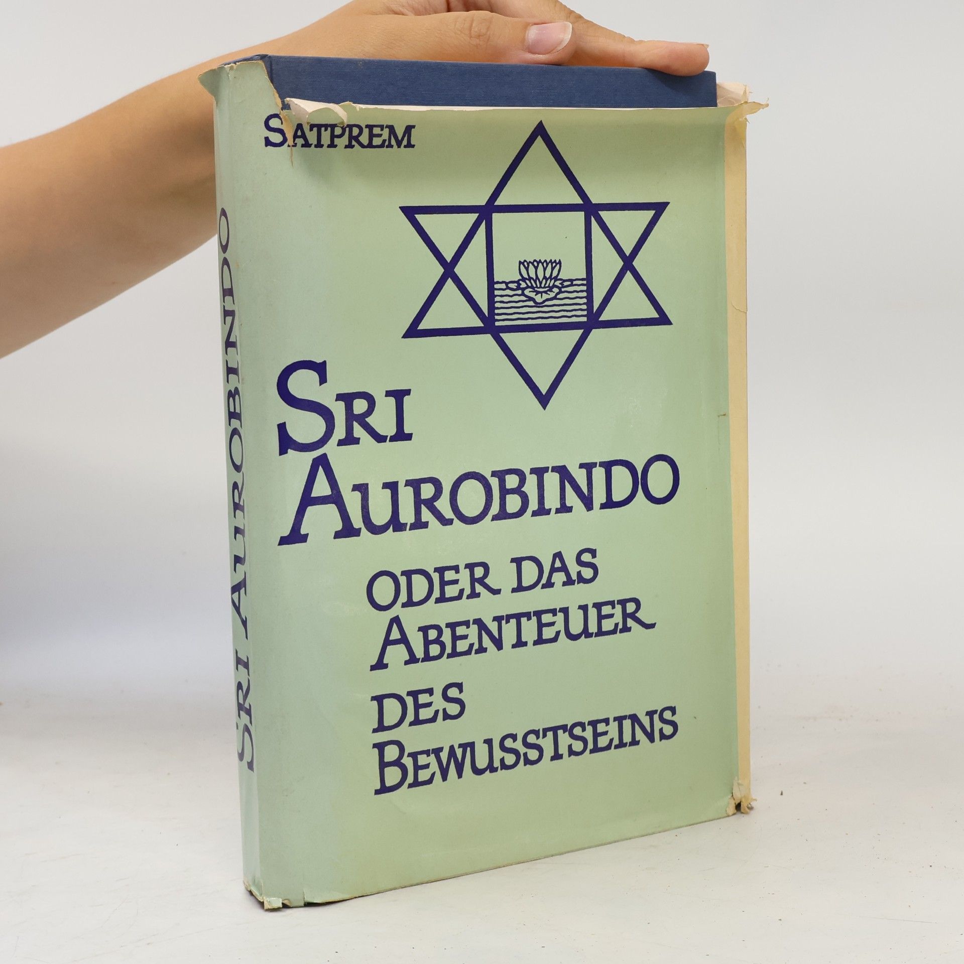 Satprem Sri Aurobindo oder Das Abenteuer des Bewusstseins