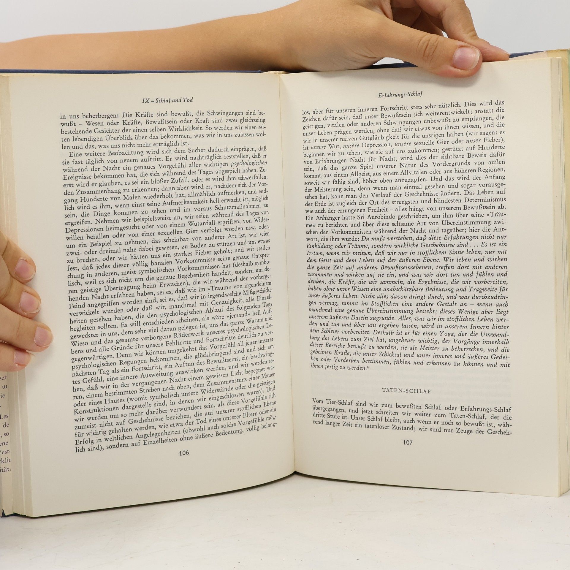 Satprem Sri Aurobindo oder Das Abenteuer des Bewusstseins