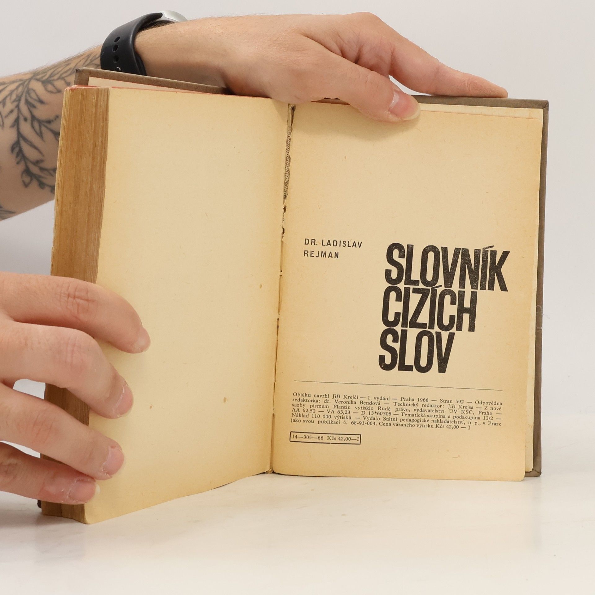 Ladislav Rejman Slovník cizích slov