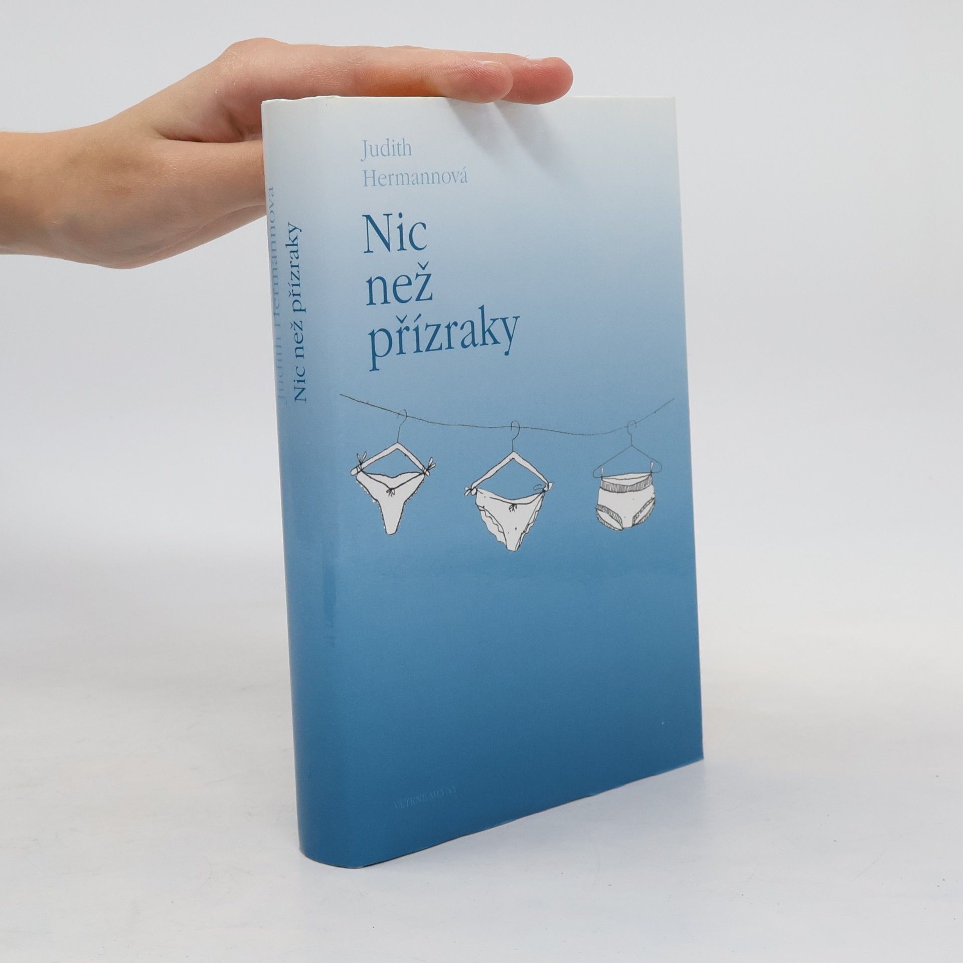 Judith Hermann Nic než přízraky : povídky