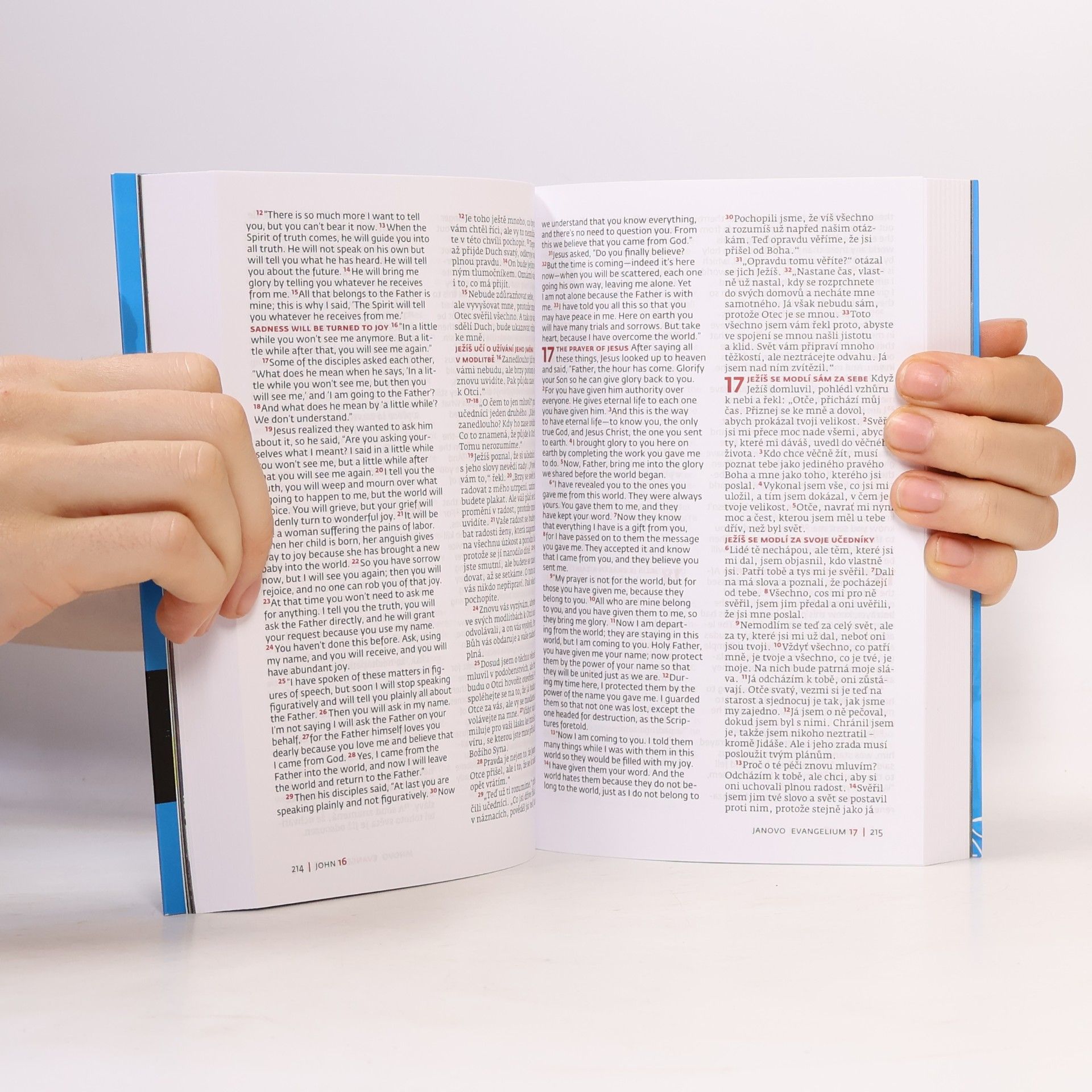 Autorenkollektiv Nový zákon - New Testament