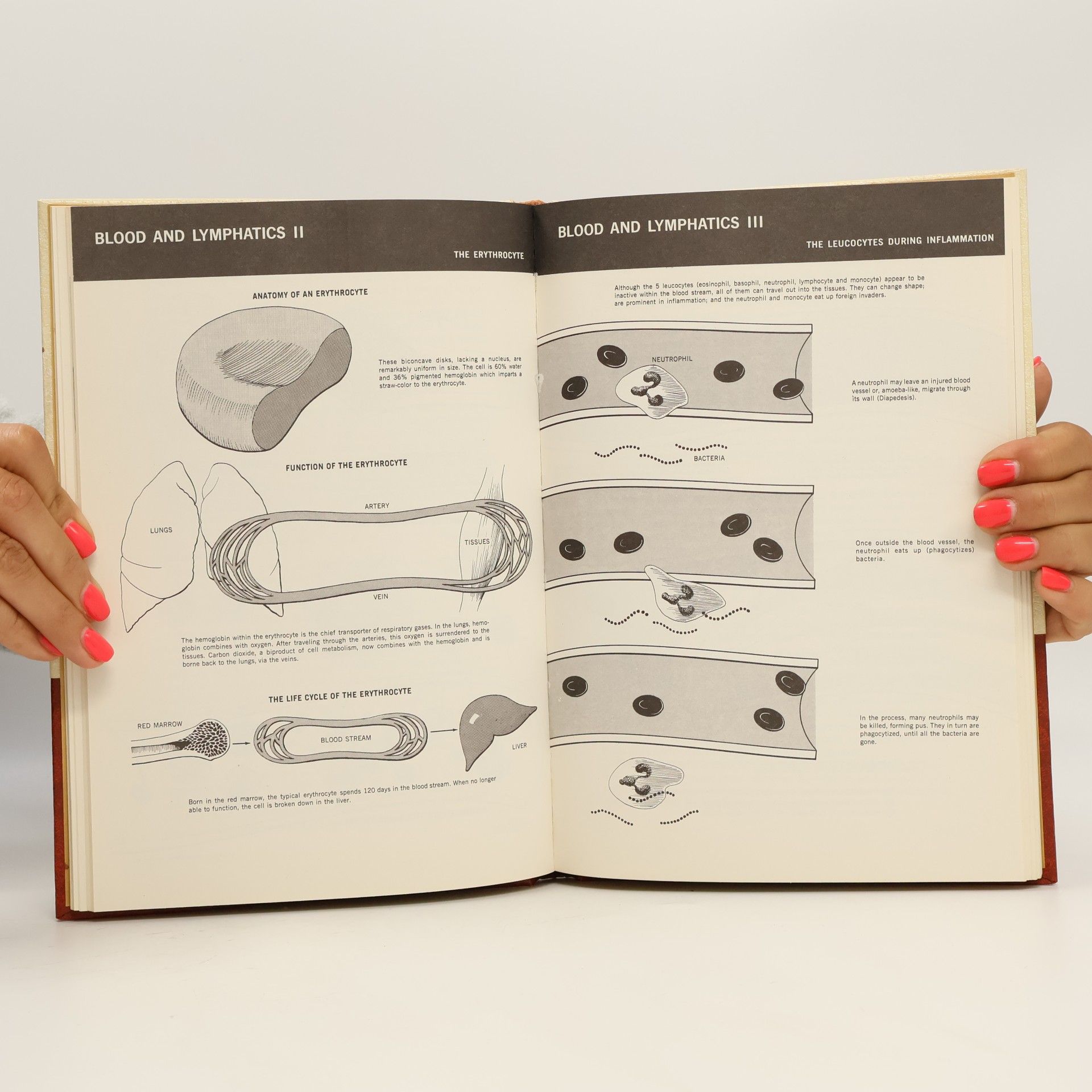 Morris Fishbein The New Illustrated Medical and Health Encyclopedia