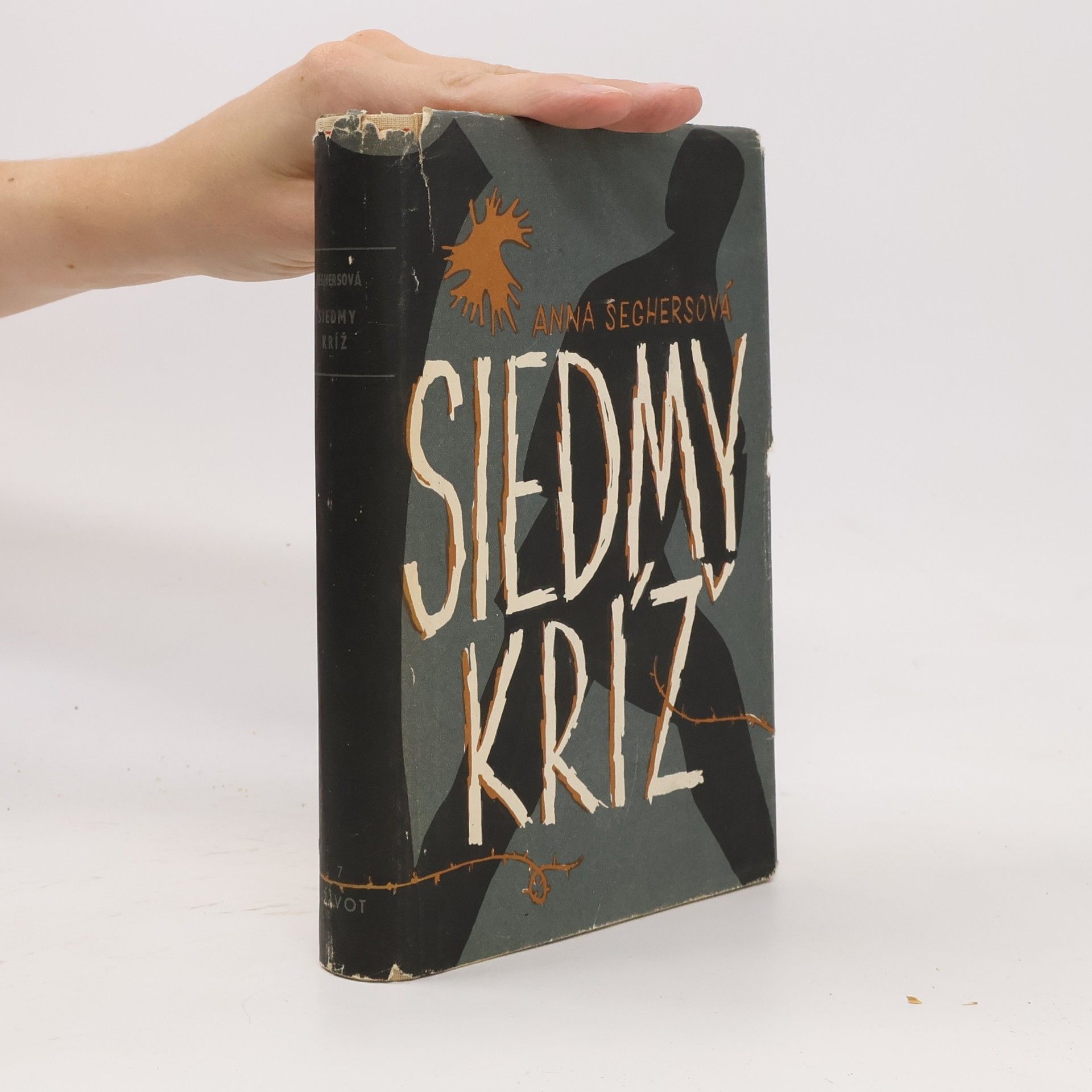 Anna Seghers Siedmy kríž
