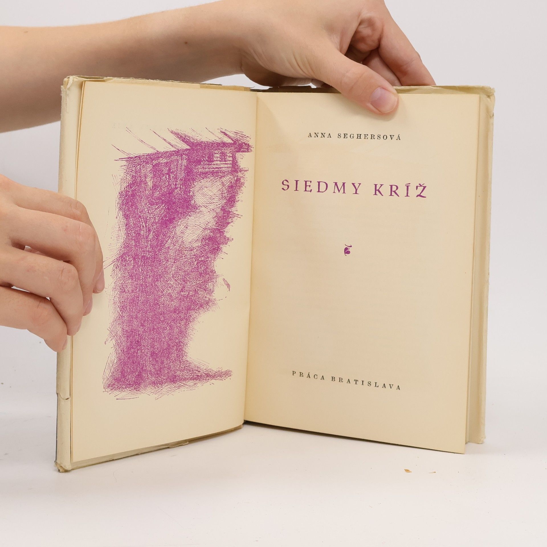 Anna Seghers Siedmy kríž