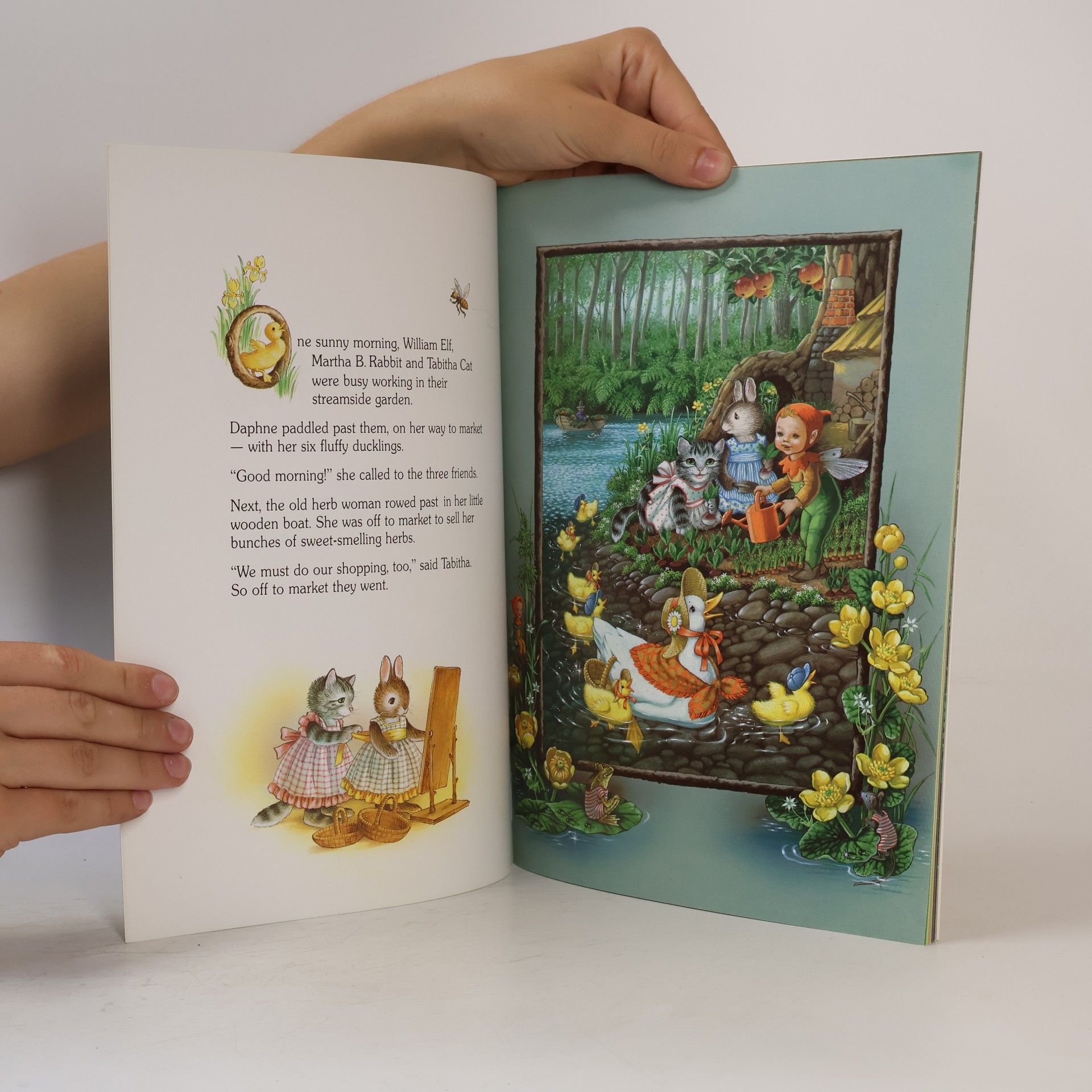 Shirley Barber Martha B. Rabbit and Daphne the Forgetful Duck
