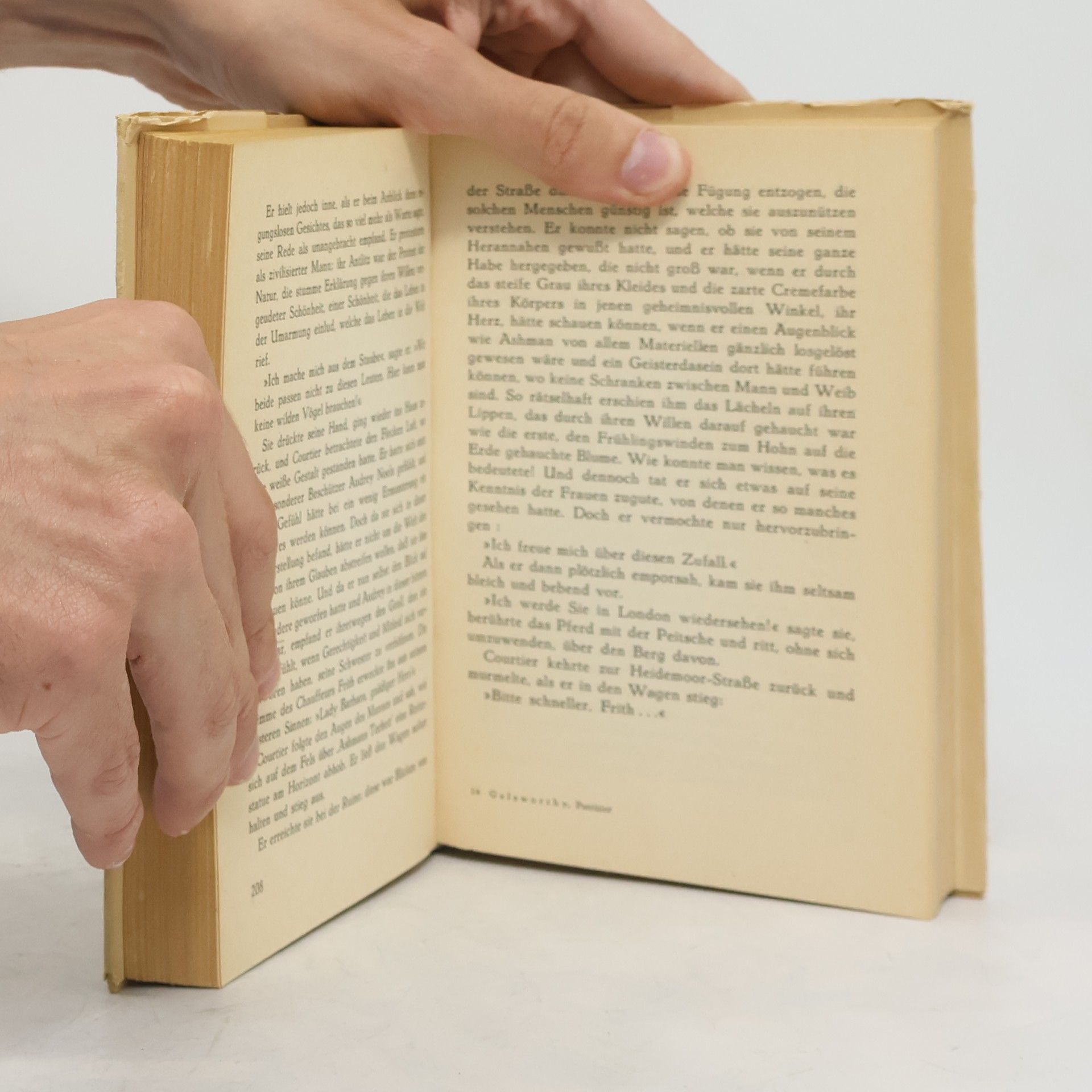 John Galsworthy Der Patrizier