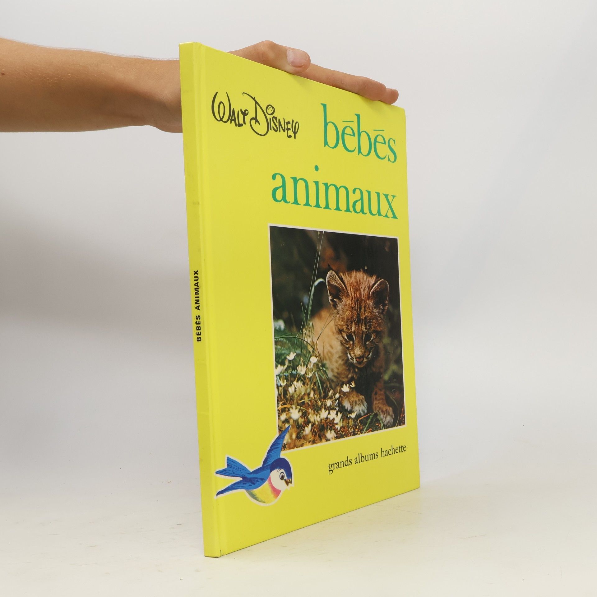 Mary Schuchmann Bébés animaux