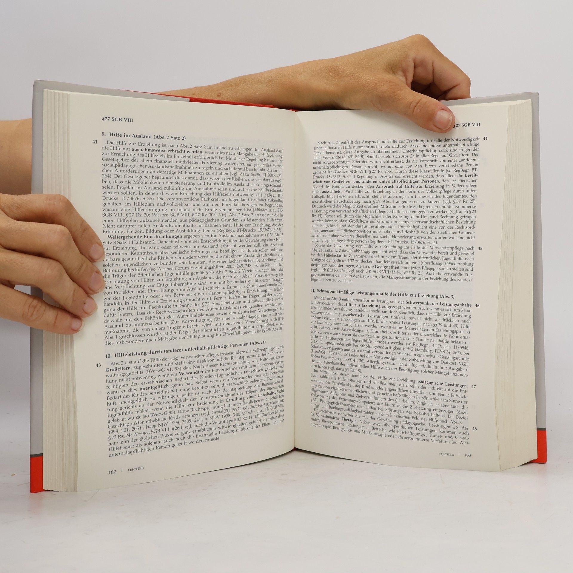 Walter Schellhorn SGB VIII/ KJHG