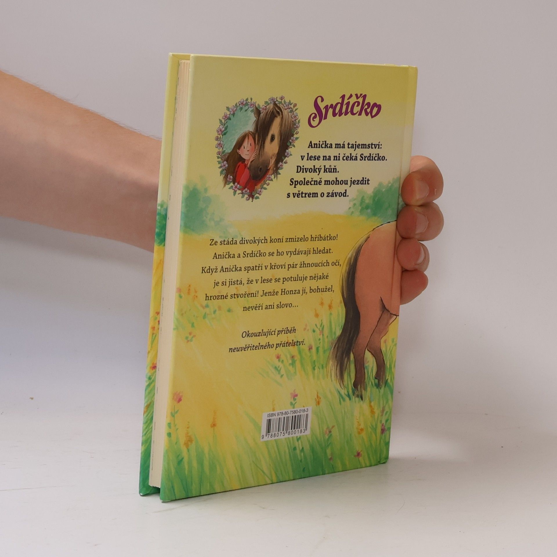 Usch Luhn Srdíčko - Anička zachraňuje hříbátko