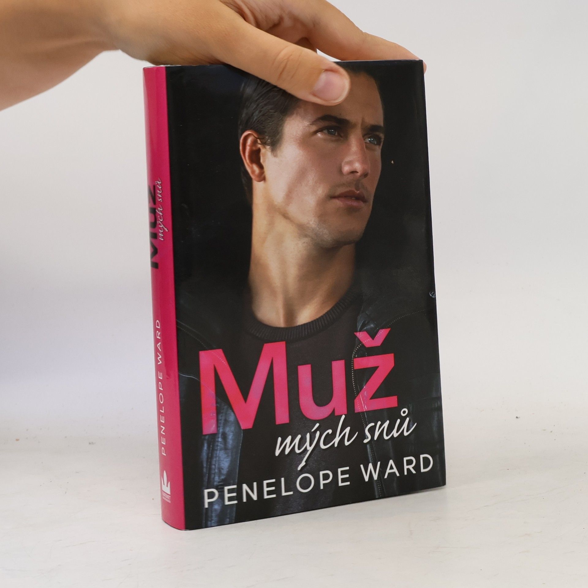 Penelope Ward Muž mých snů