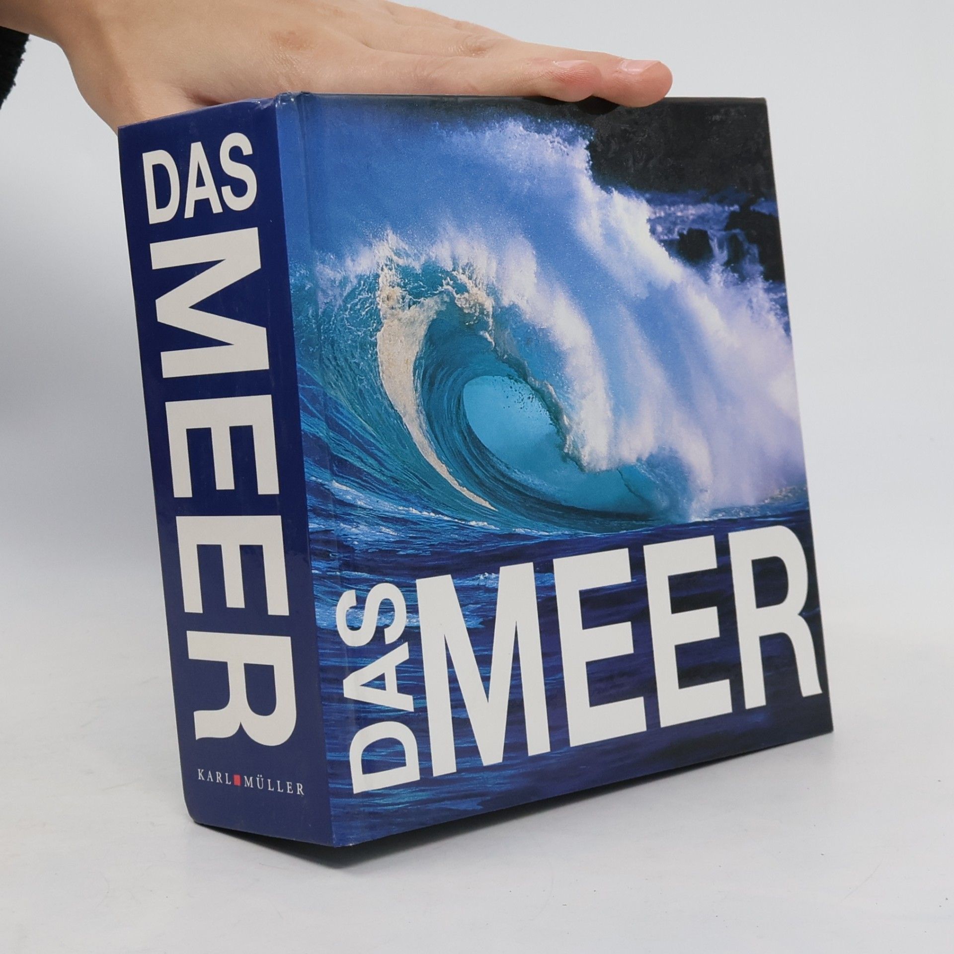 Gaetano Cafiero Das Meer