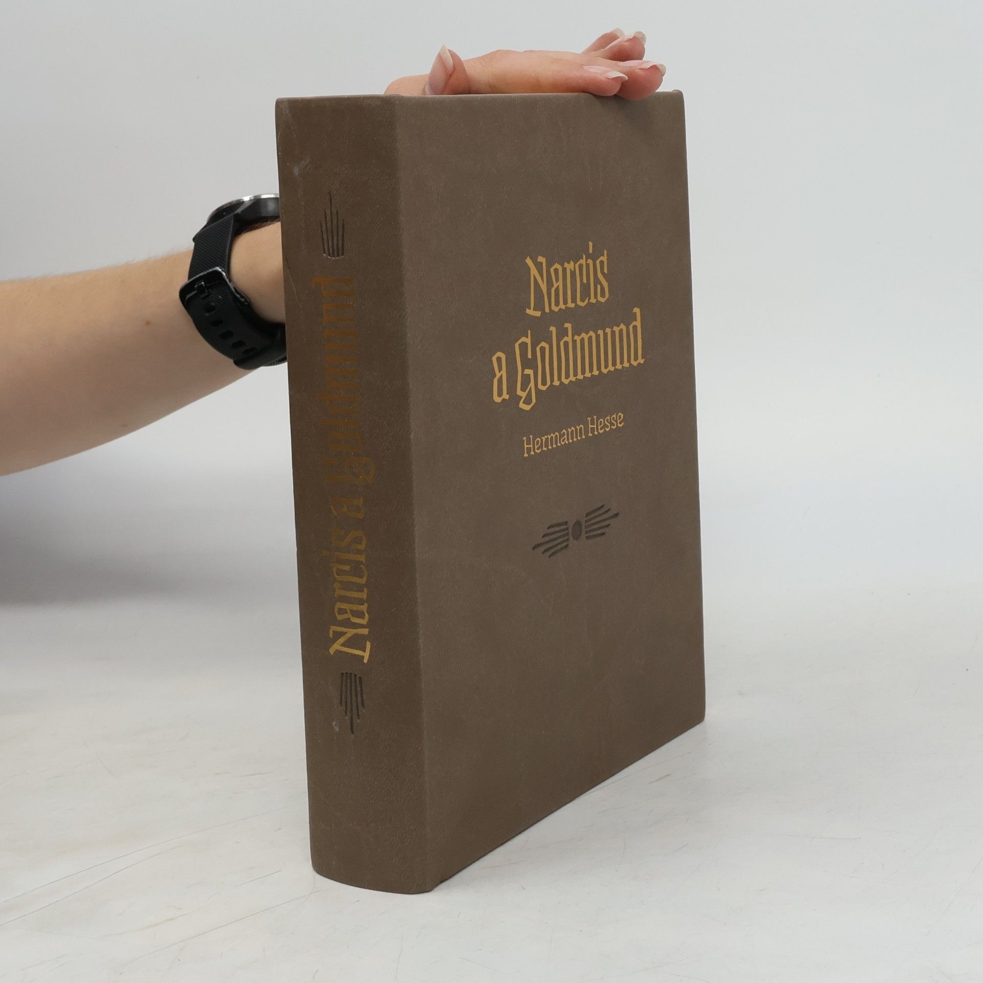 Hermann Hesse Narcis a Goldmund