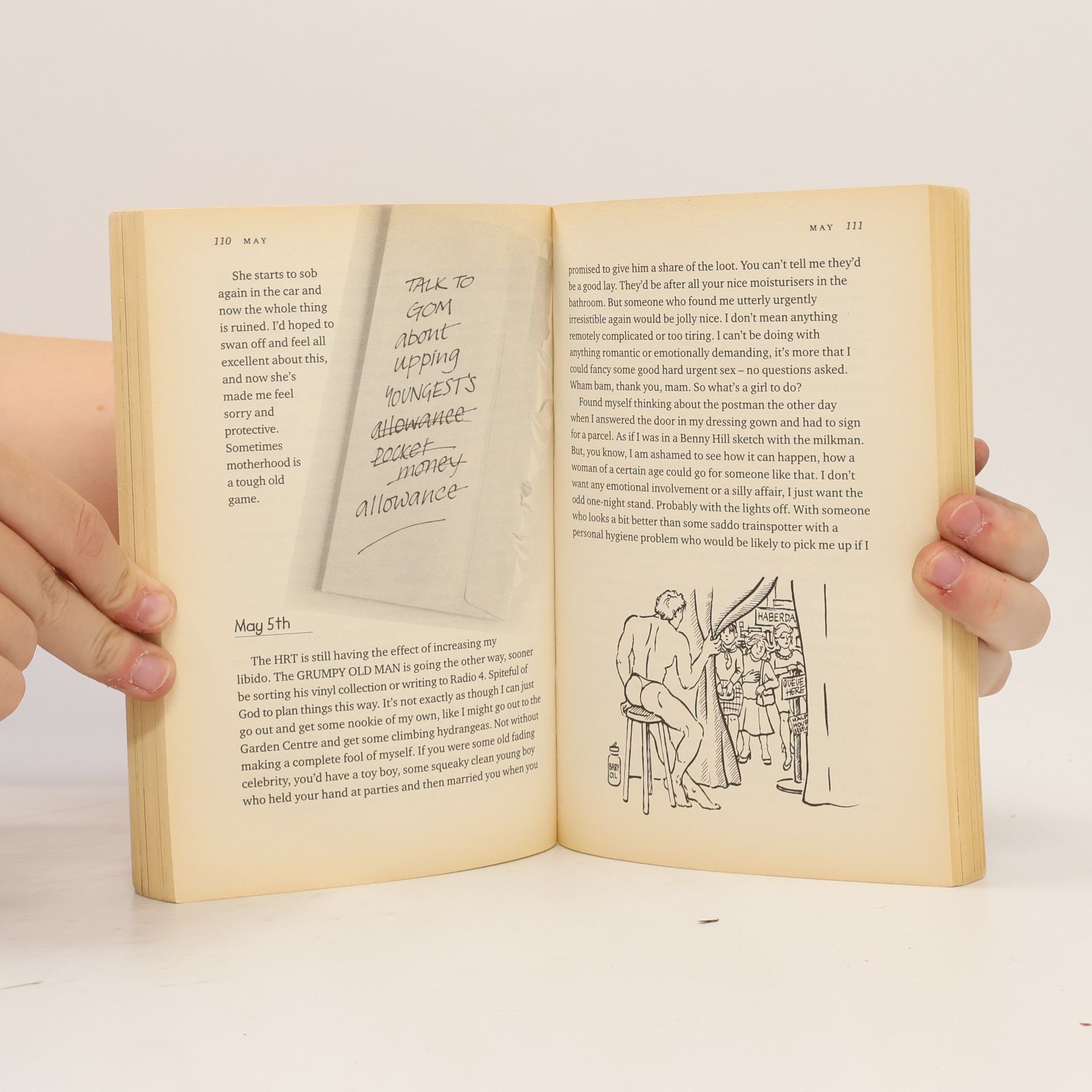 Judith Holder The Secret Diary of a Grumpy Old Woman